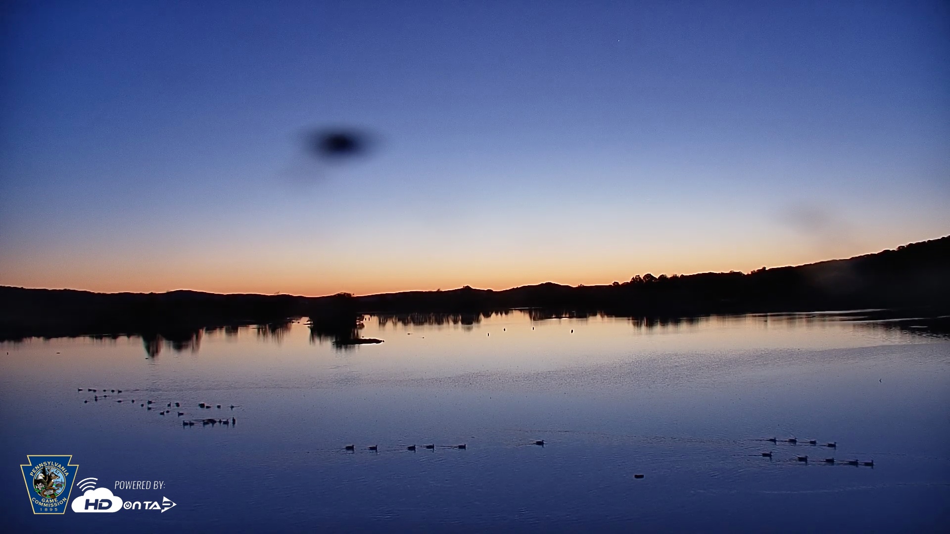Snapshot of Pennsylvania Snow Geese Live Webcam taken Oct 17, 2025, 7:02am EDT