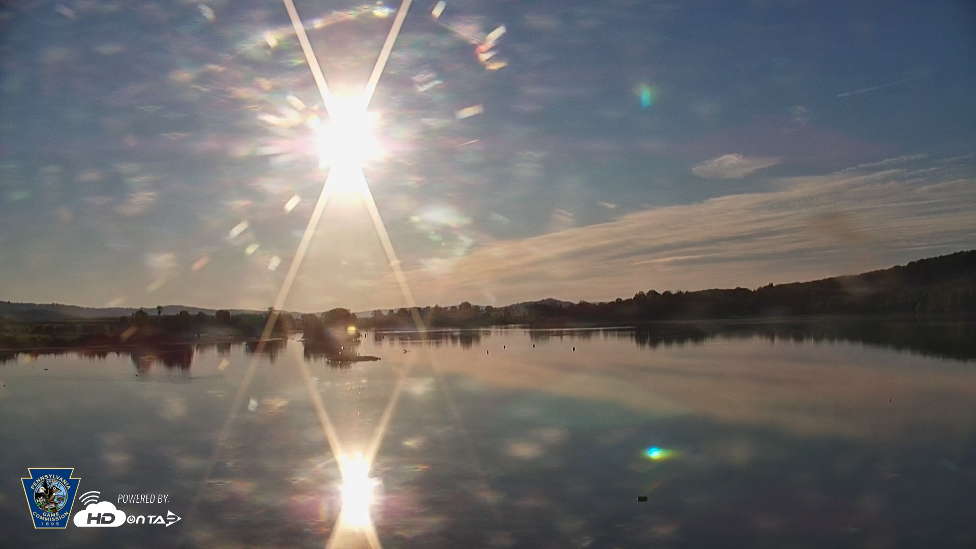 Snapshot of Pennsylvania Snow Geese Live Webcam taken Aug 30, 2025, 7:30am EDT