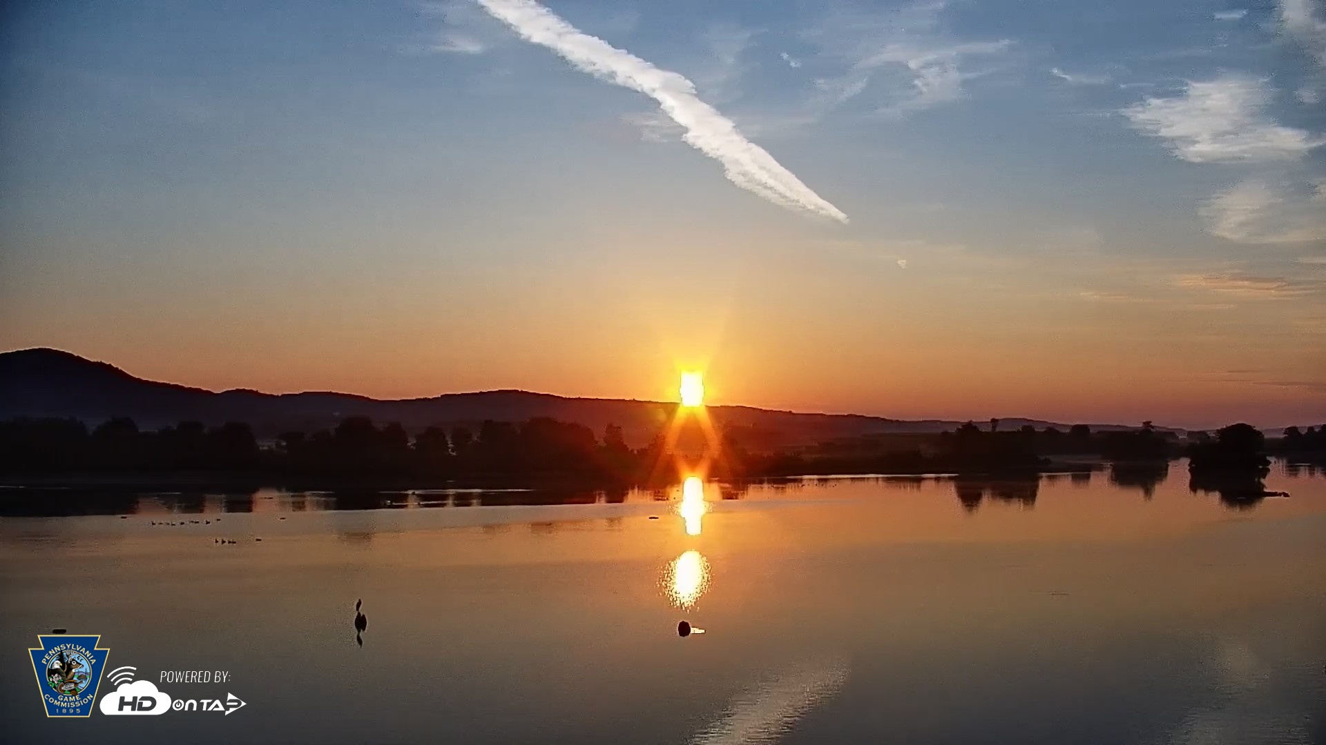 Snapshot of Pennsylvania Snow Geese Live Webcam taken Jul 12, 2026, 6:03am EDT