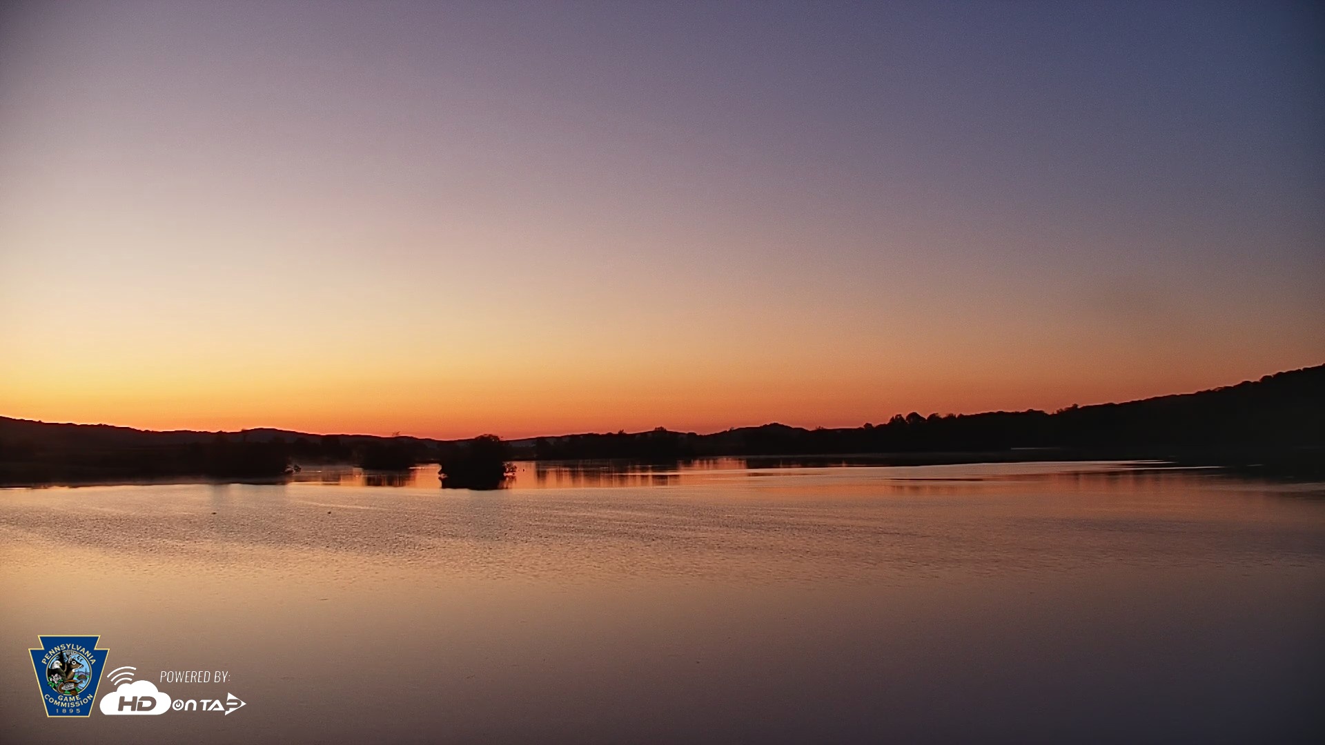 Snapshot of Pennsylvania Snow Geese Live Webcam taken May 1, 2026, 5:50am EDT