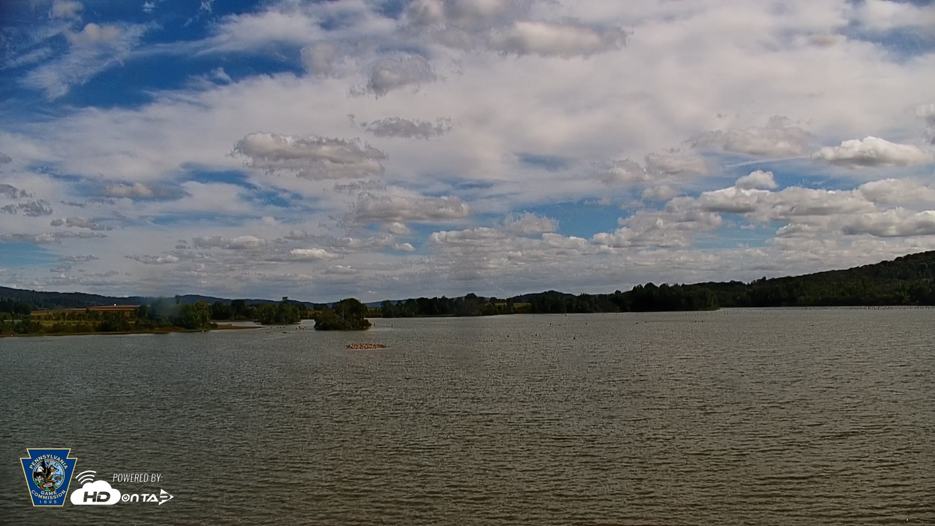 Snapshot of Pennsylvania Snow Geese Live Webcam taken Sep 23, 2026, 1:17pm EDT