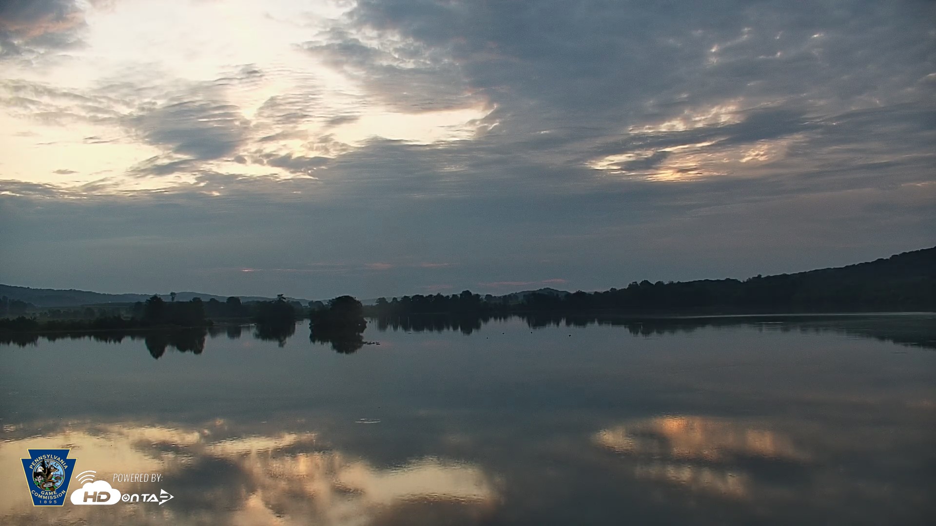 Snapshot of Pennsylvania Snow Geese Live Webcam taken Aug 31, 2026, 6:29am EDT