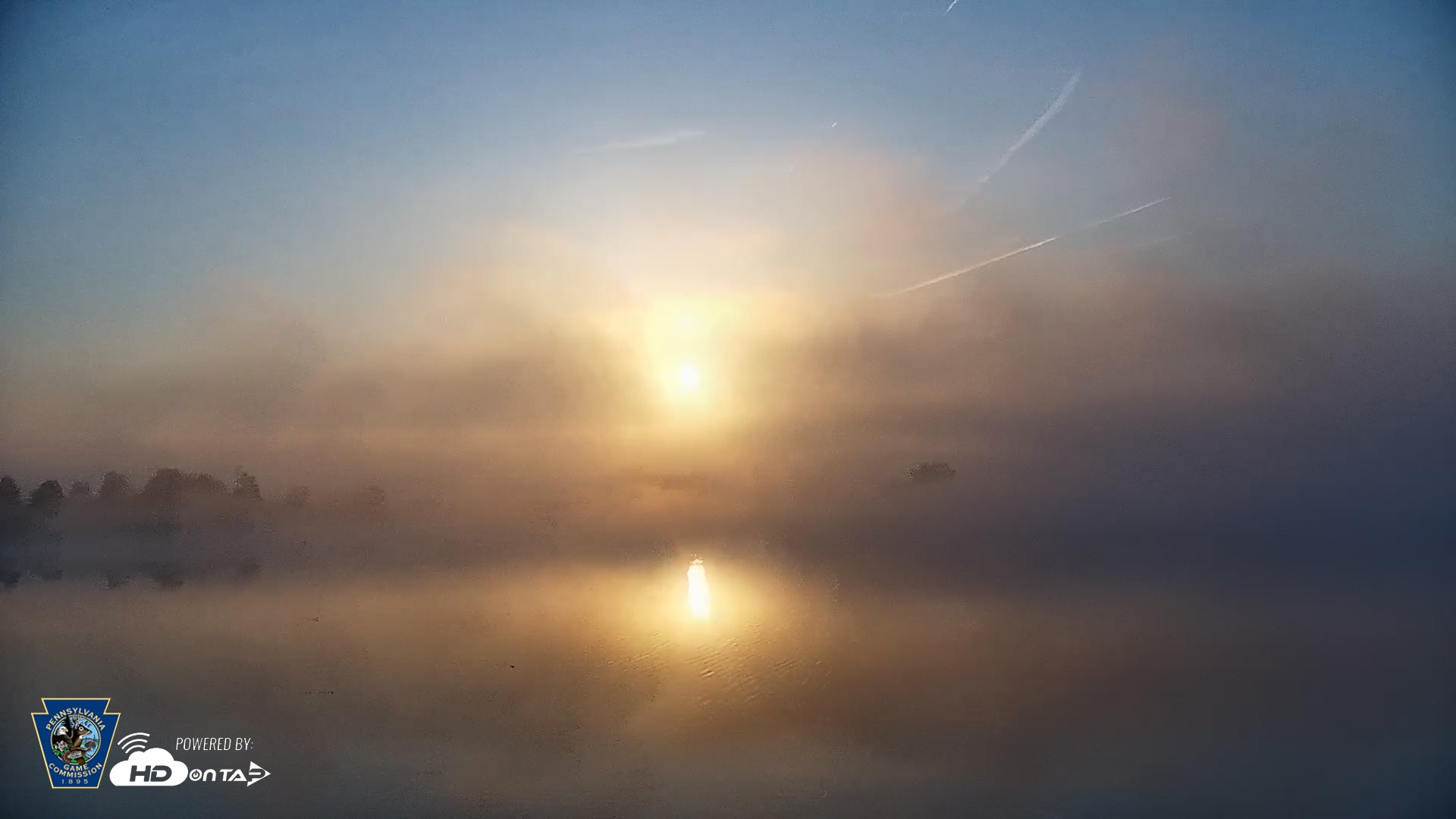 Snapshot of Pennsylvania Snow Geese Live Webcam taken Apr 23, 2026, 6:42am EDT