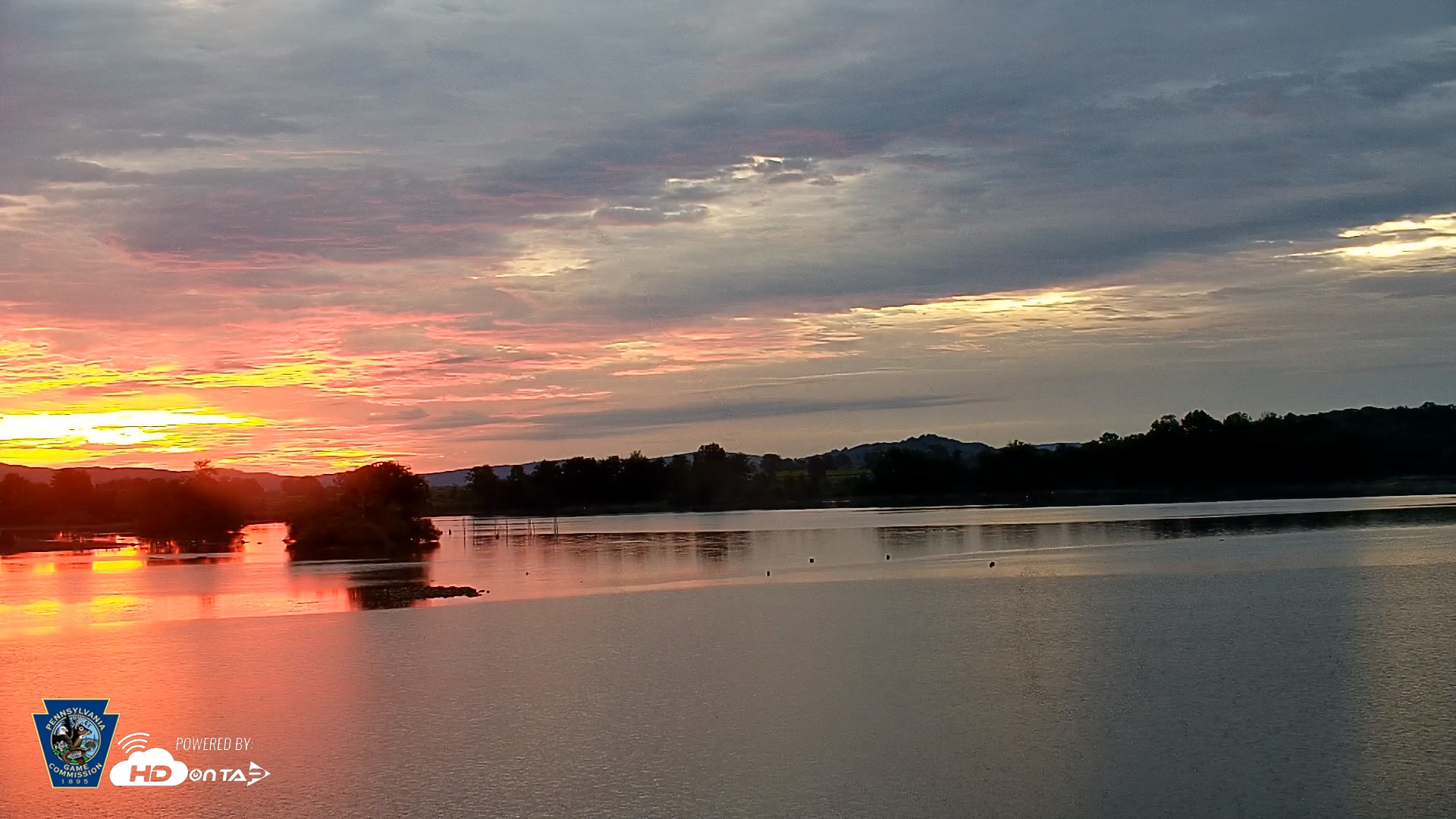 Snapshot of Pennsylvania Snow Geese Live Webcam taken Sep 11, 2026, 6:32am EDT