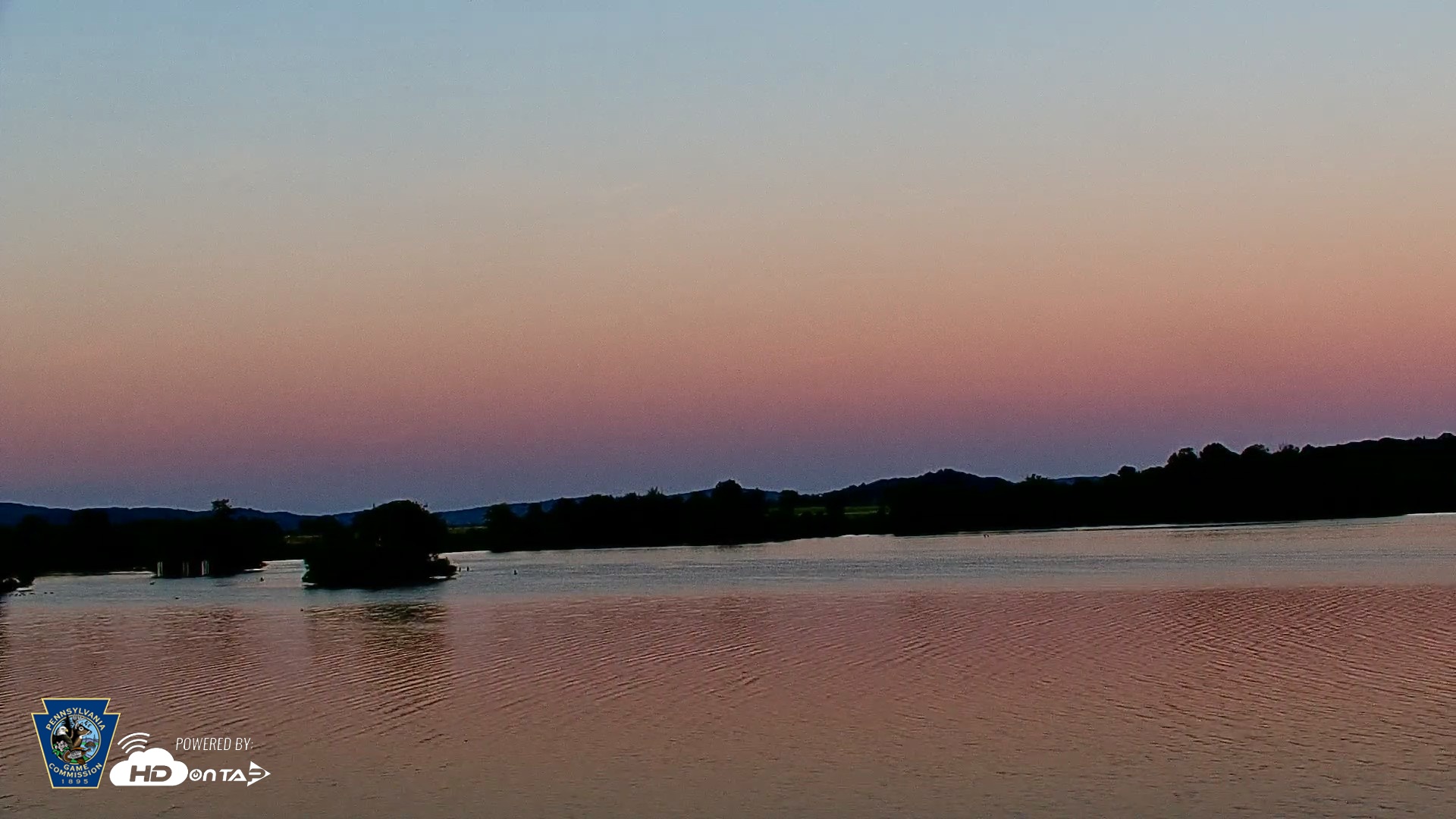 Snapshot of Pennsylvania Snow Geese Live Webcam taken May 31, 2026, 8:25pm EDT