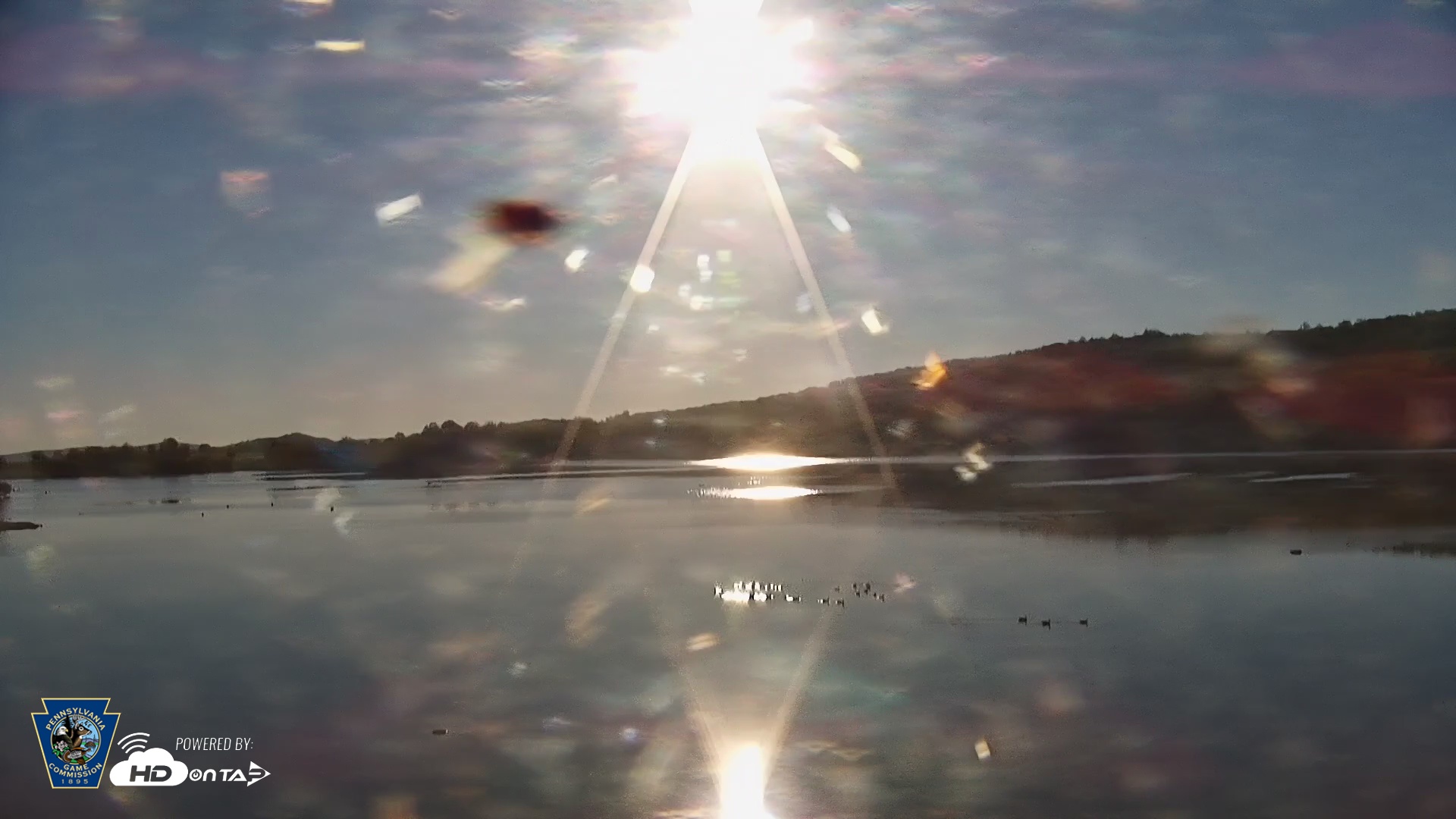 Snapshot of Pennsylvania Snow Geese Live Webcam taken Oct 17, 2025, 8:45am EDT