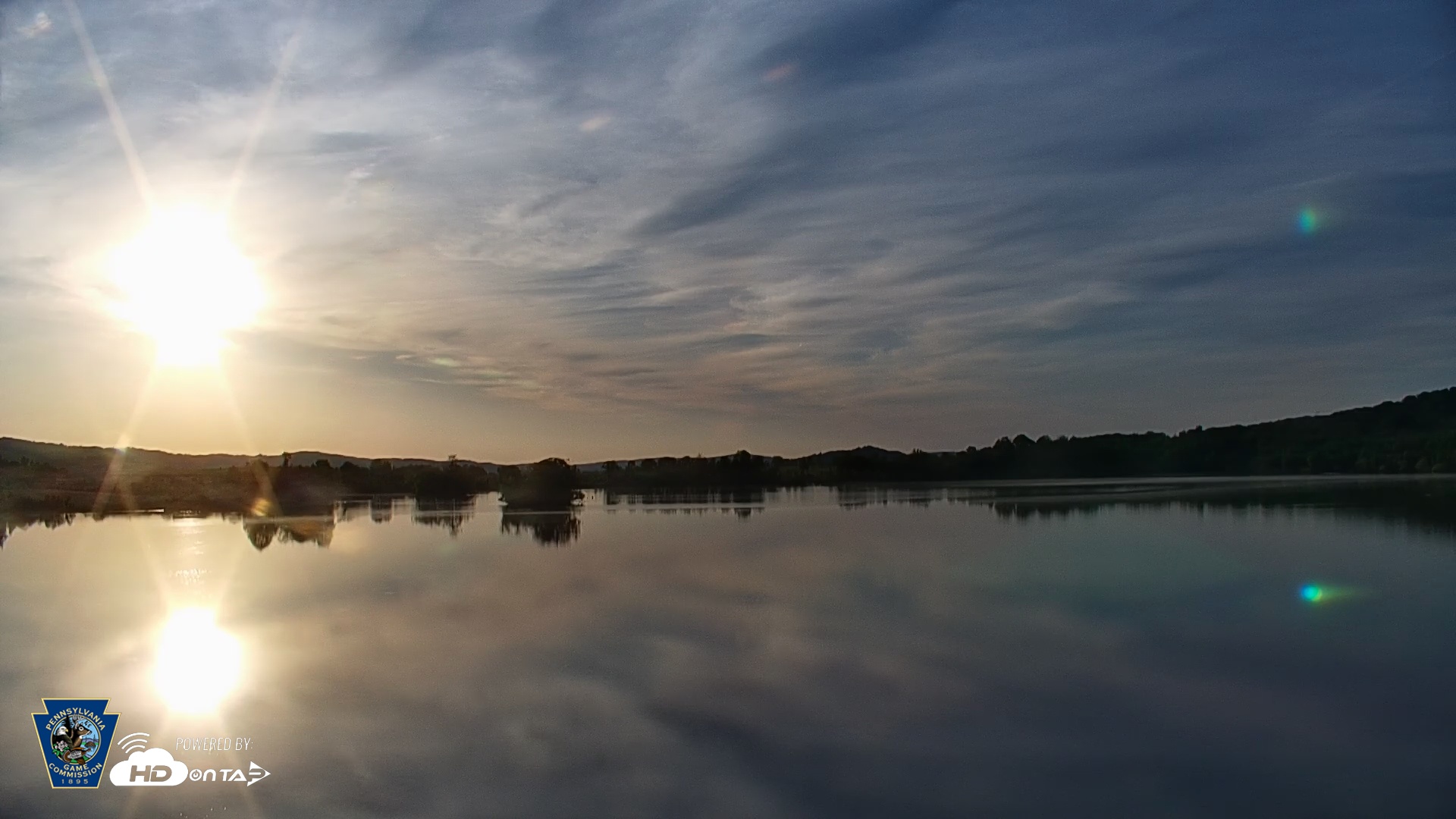 Snapshot of Pennsylvania Snow Geese Live Webcam taken May 12, 2025, 6:36am EDT