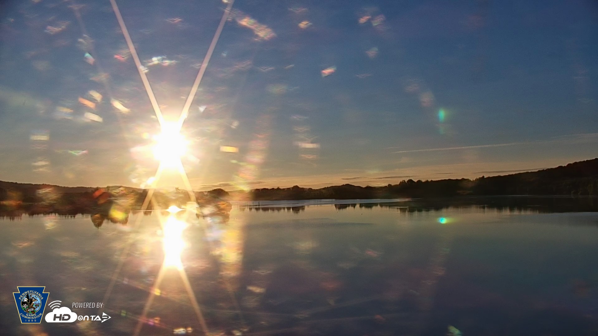 Snapshot of Pennsylvania Snow Geese Live Webcam taken Aug 29, 2026, 7:00am EDT