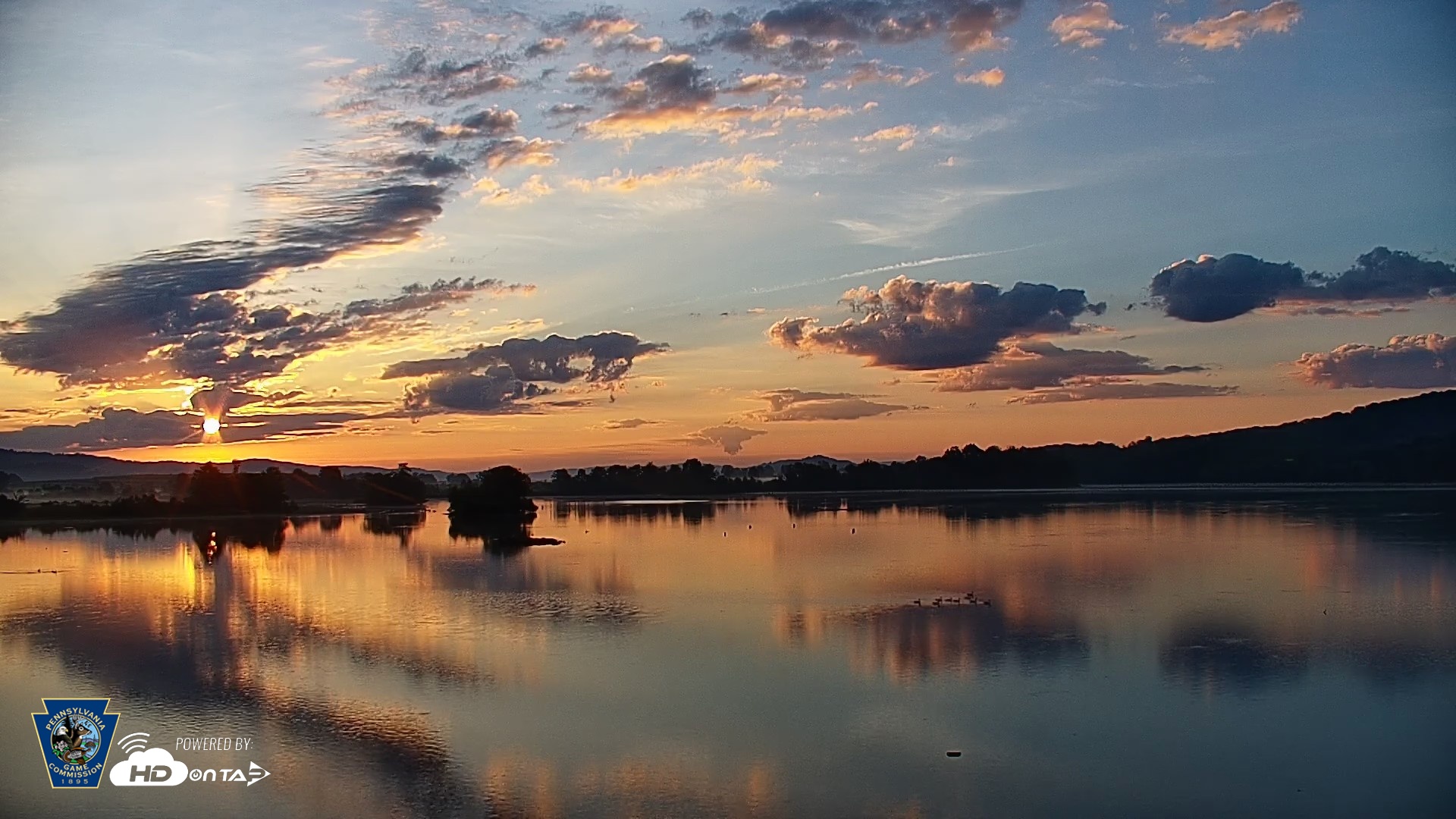 Snapshot of Pennsylvania Snow Geese Live Webcam taken Aug 19, 2026, 6:35am EDT