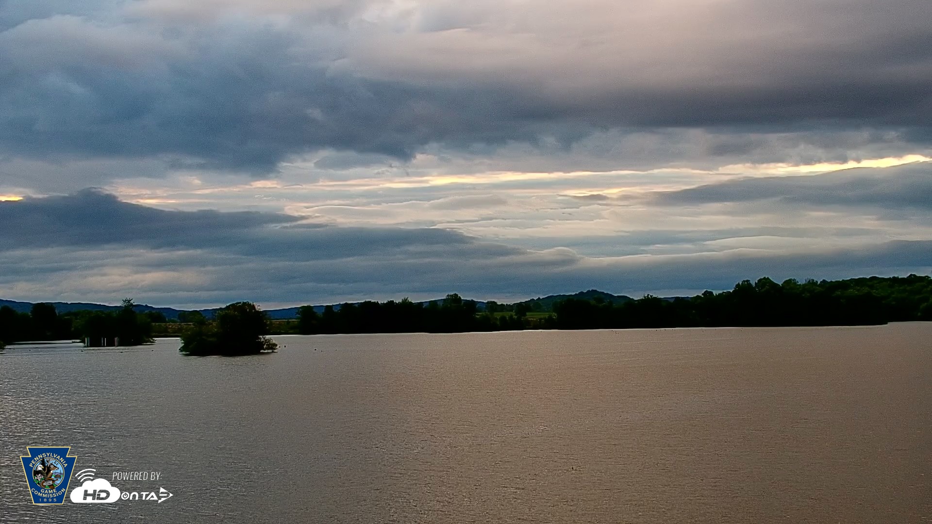 Snapshot of Pennsylvania Snow Geese Live Webcam taken May 15, 2026, 6:11am EDT