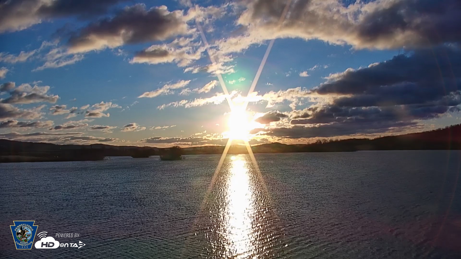Snapshot of Pennsylvania Snow Geese Live Webcam taken Mar 17, 2026, 7:35am EDT