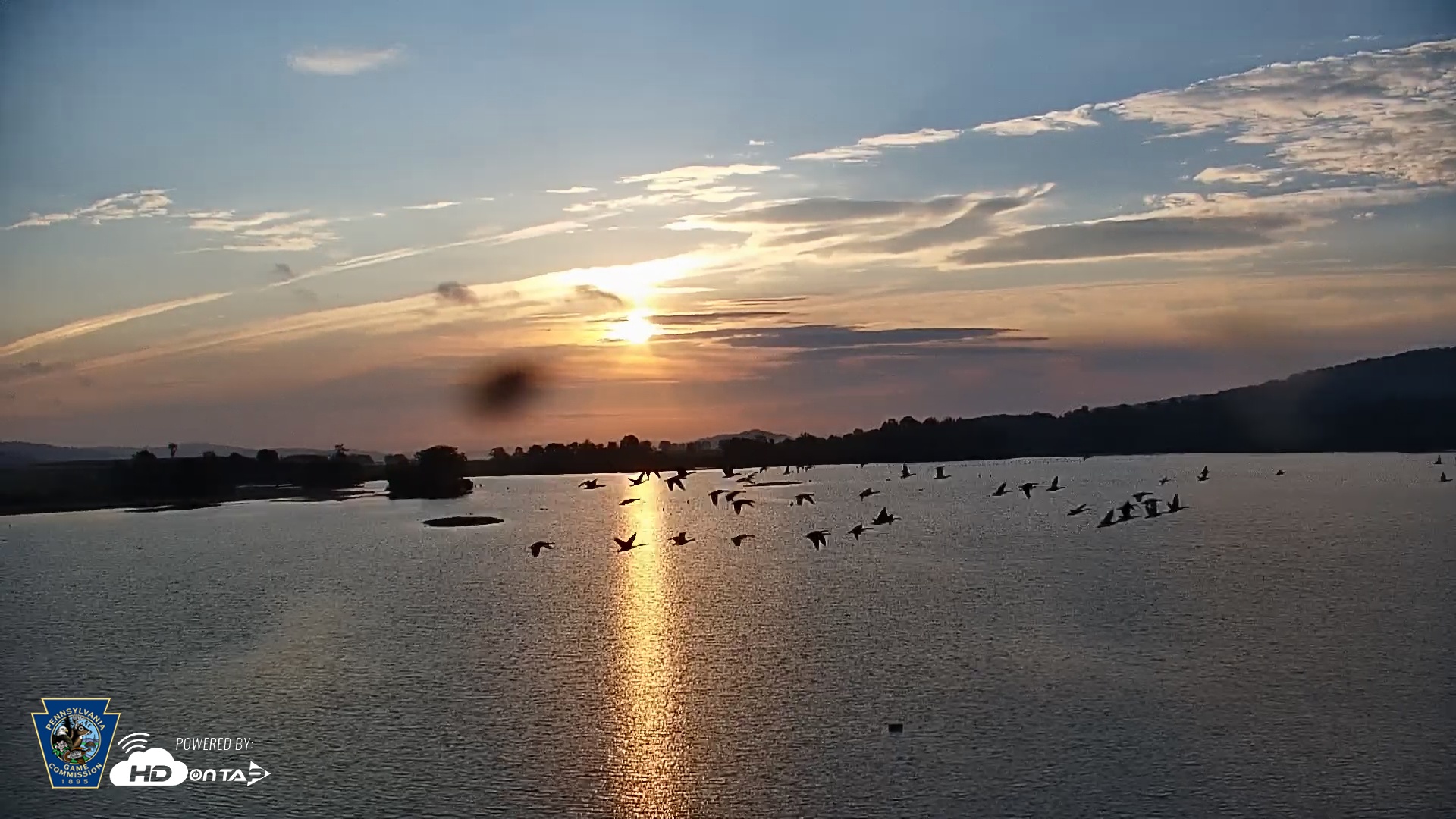 Snapshot of Pennsylvania Snow Geese Live Webcam taken Sep 23, 2025, 7:24am EDT