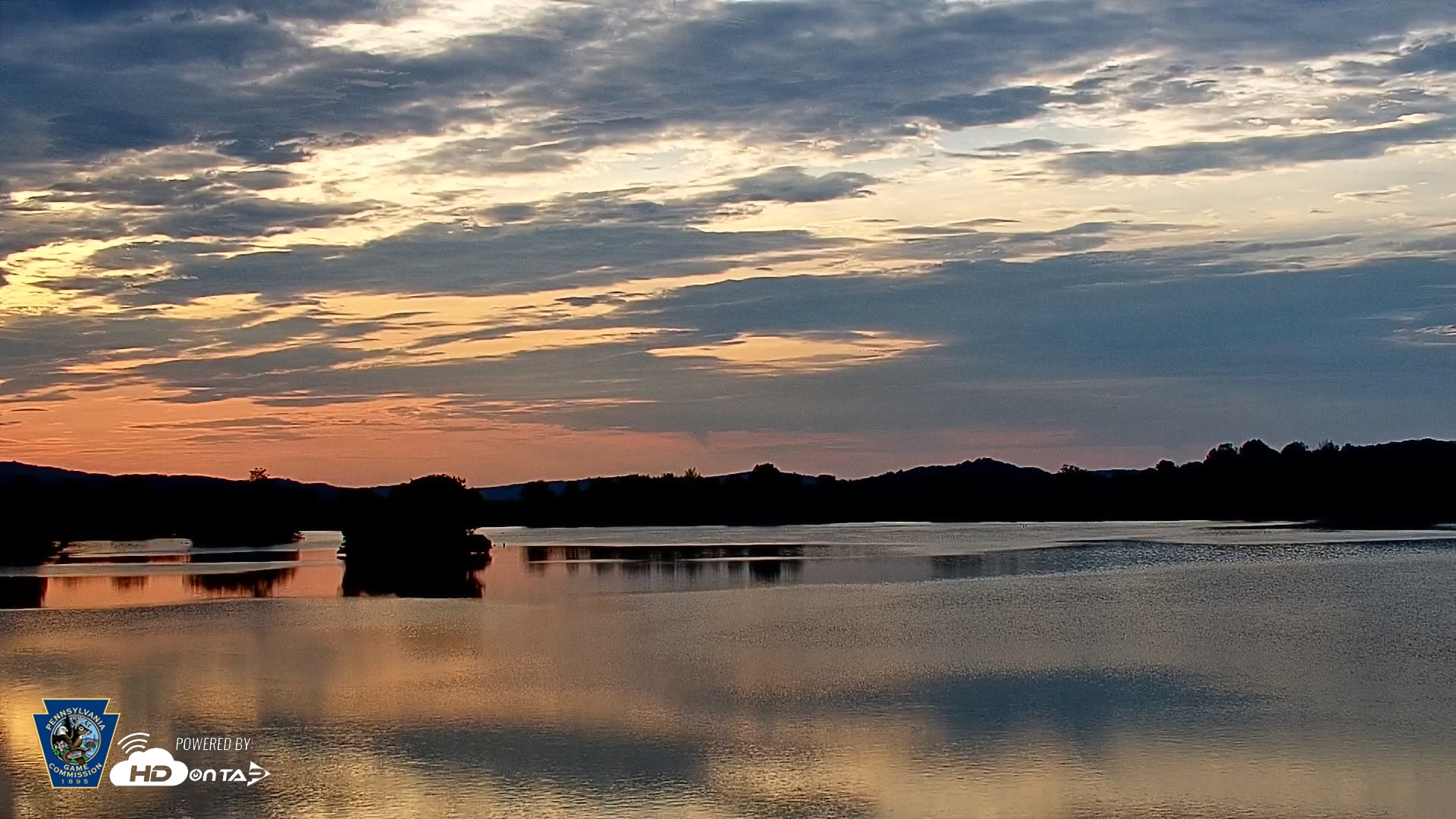 Snapshot of Pennsylvania Snow Geese Live Webcam taken Jul 18, 2025, 6:30am EDT