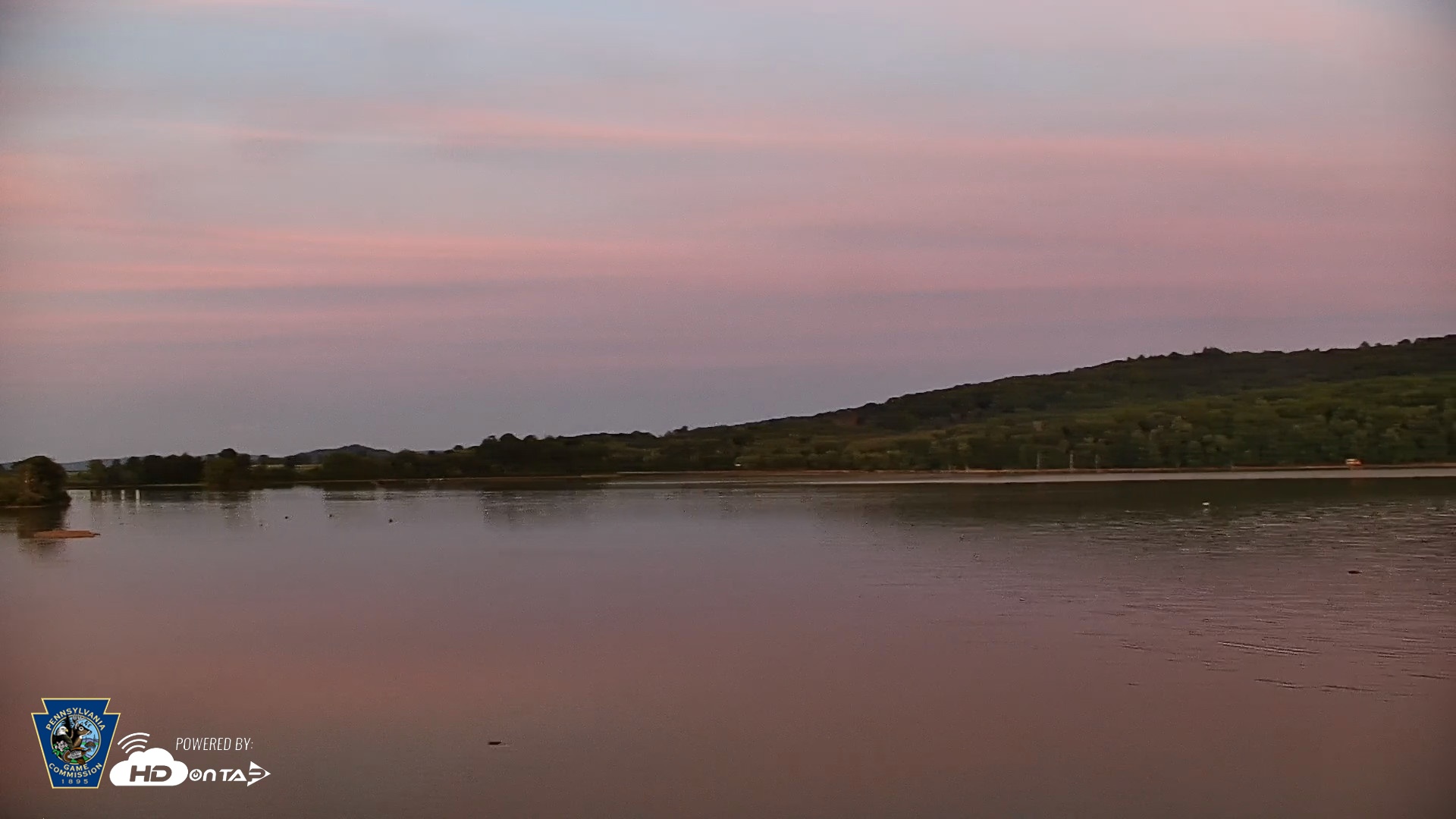 Snapshot of Pennsylvania Snow Geese Live Webcam taken Aug 4, 2026, 8:22pm EDT