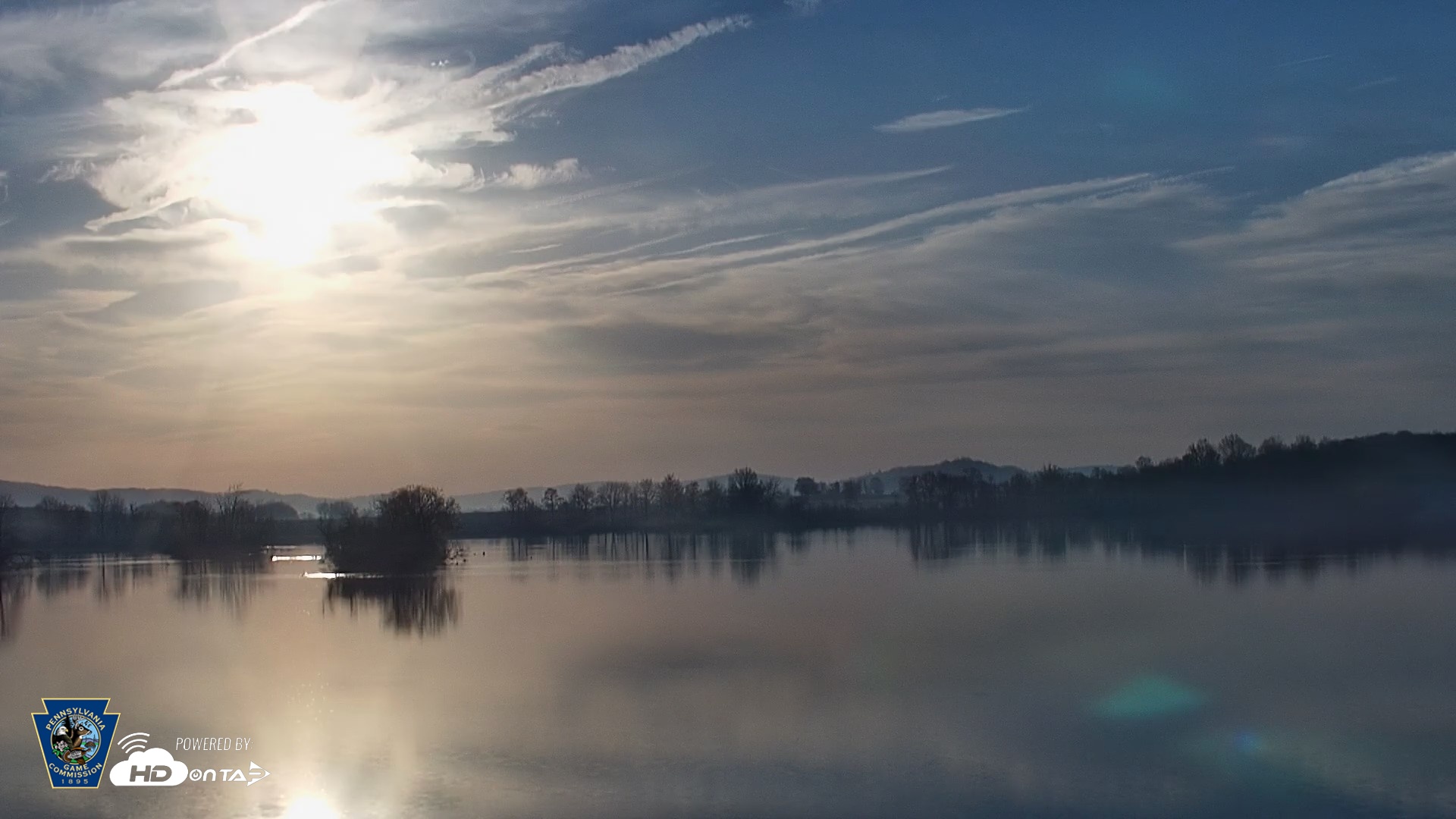Snapshot of Pennsylvania Snow Geese Live Webcam taken Apr 14, 2026, 7:13am EDT