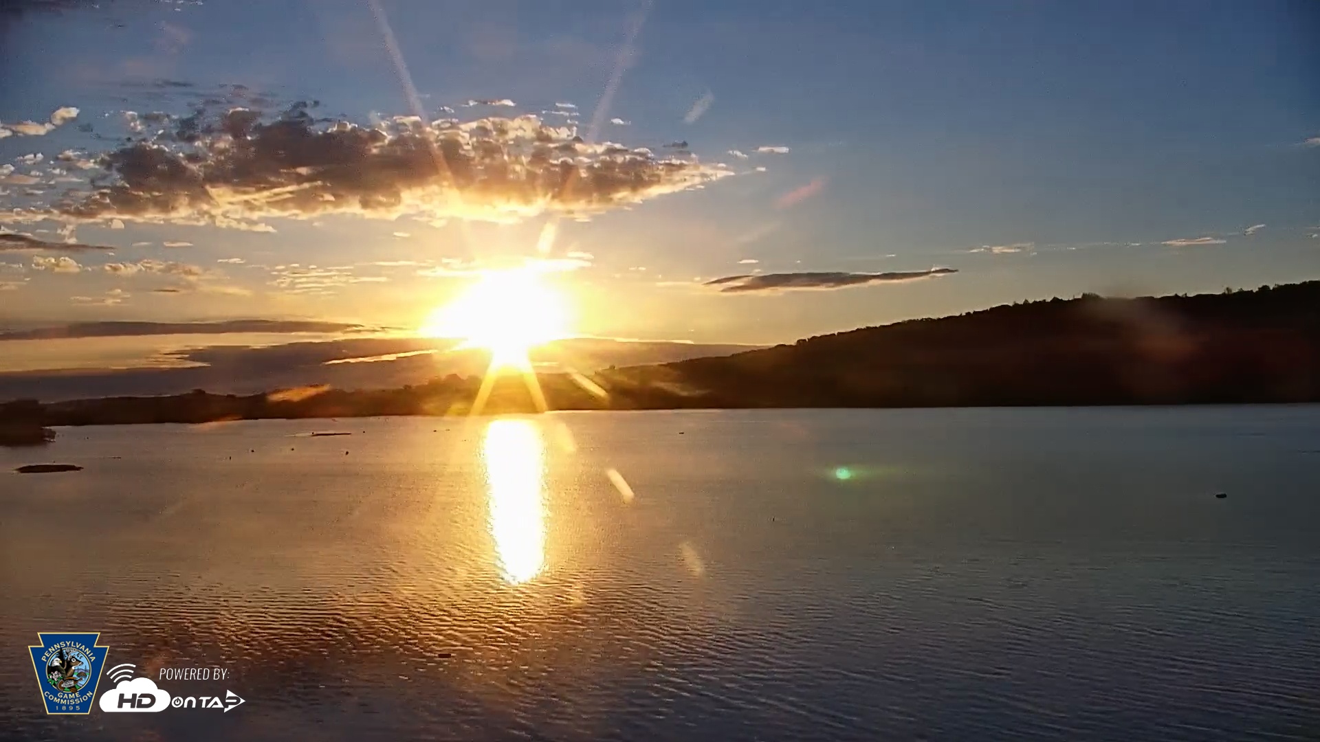 Snapshot of Pennsylvania Snow Geese Live Webcam taken Oct 23, 2025, 7:46am EDT