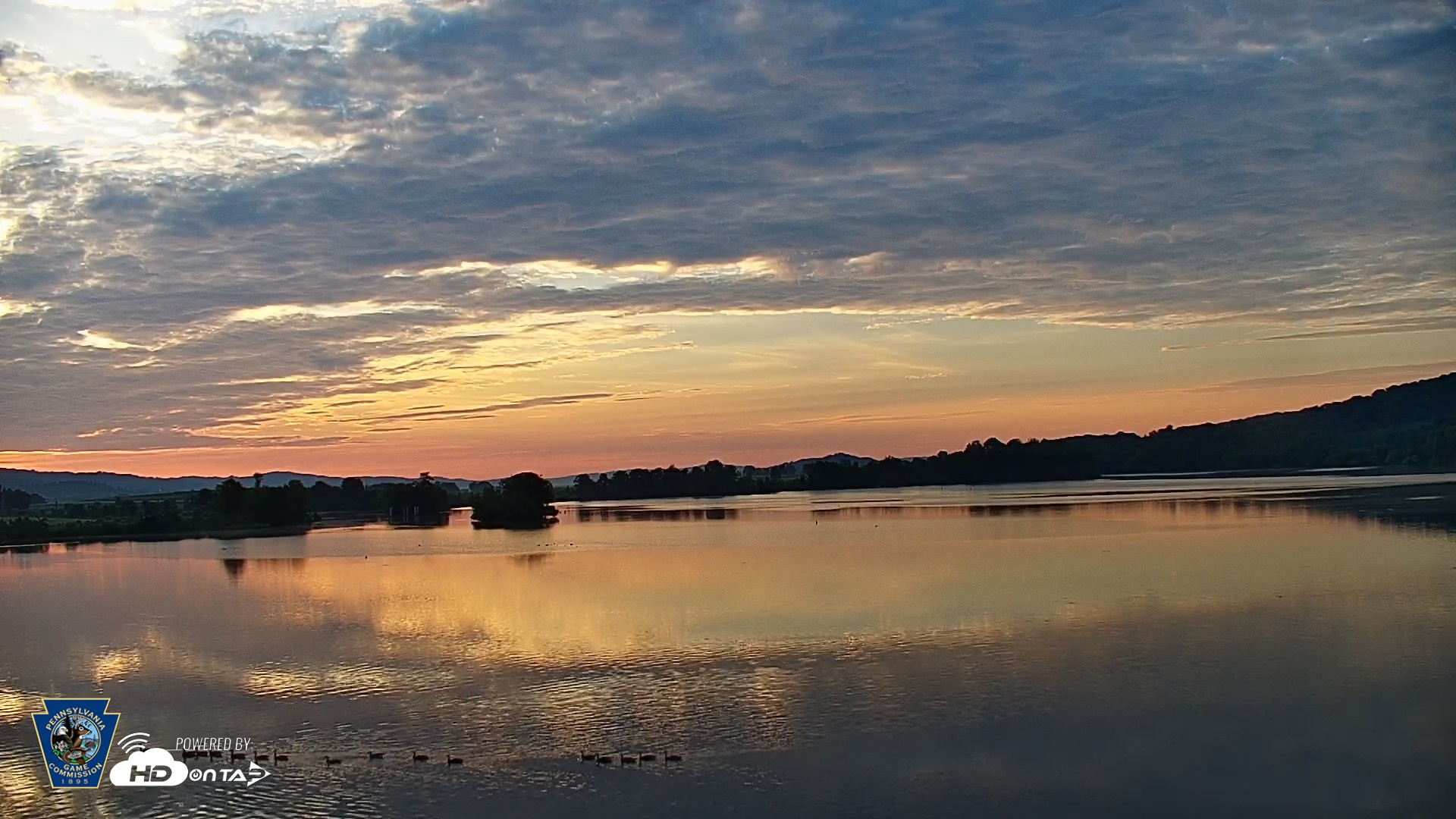 Snapshot of Pennsylvania Snow Geese Live Webcam taken Jun 6, 2026, 5:54am EDT