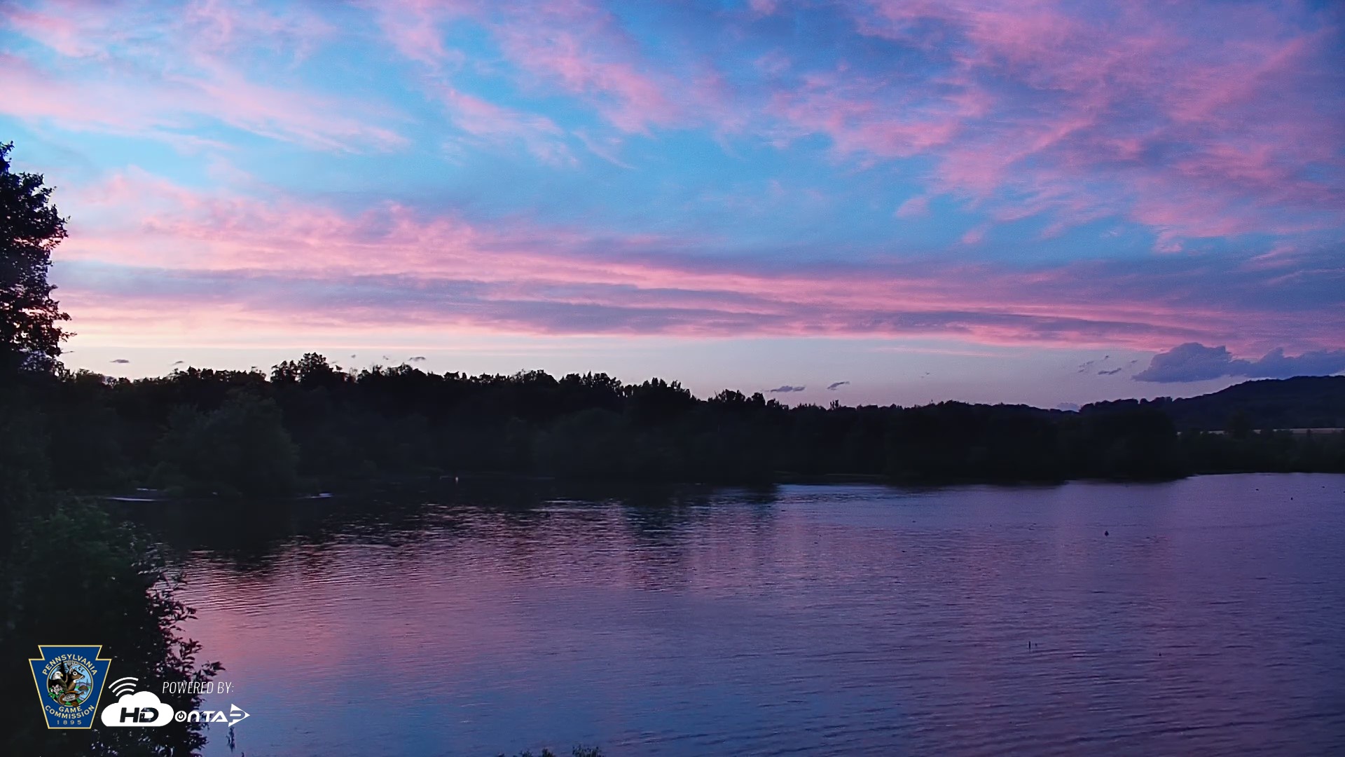Snapshot of Pennsylvania Snow Geese Live Webcam taken Jun 18, 2026, 8:52pm EDT