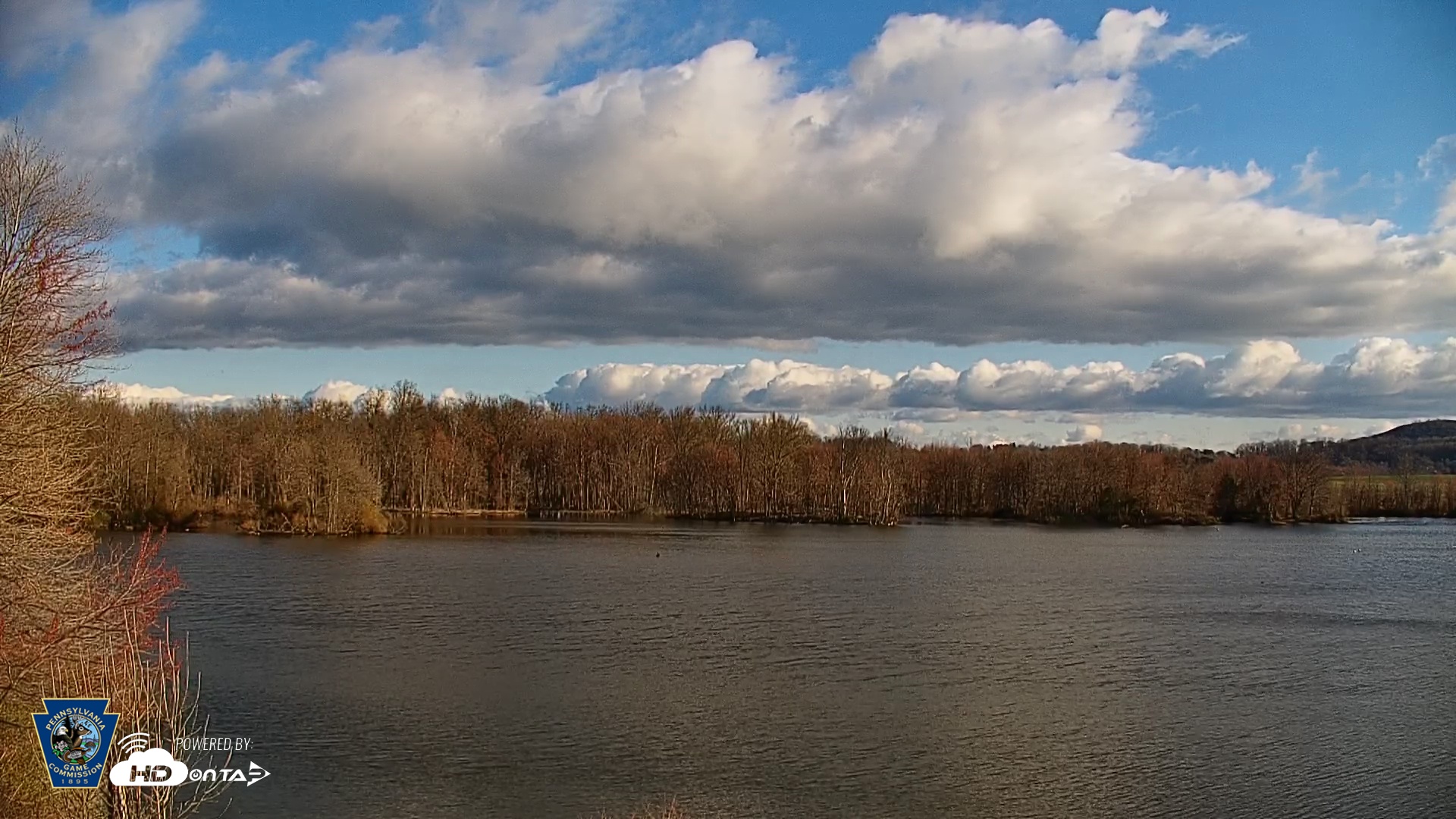 Snapshot of Pennsylvania Snow Geese Live Webcam taken Apr 7, 2026, 8:20am EDT