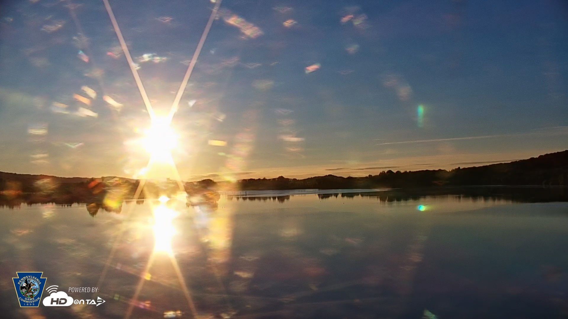 Snapshot of Pennsylvania Snow Geese Live Webcam taken Aug 29, 2026, 6:59am EDT