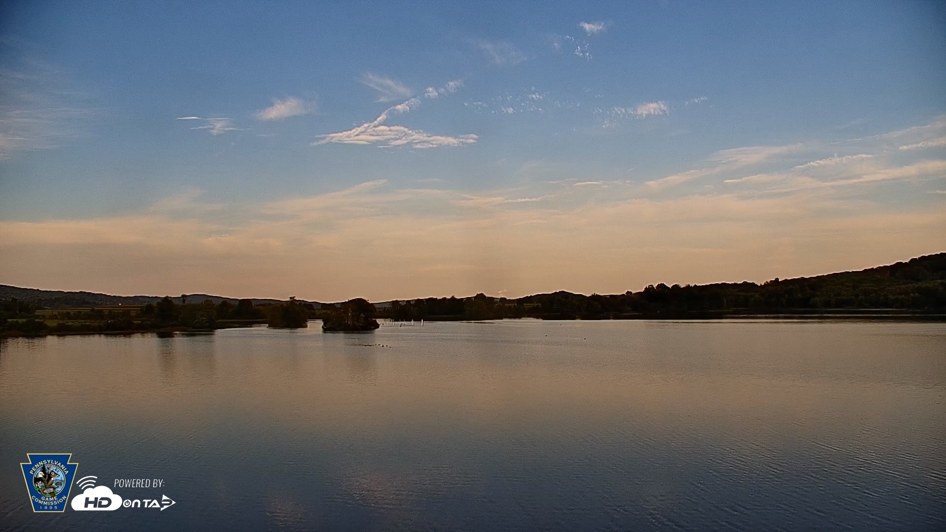 Snapshot of Pennsylvania Snow Geese Live Webcam taken Sep 3, 2026, 6:21pm EDT