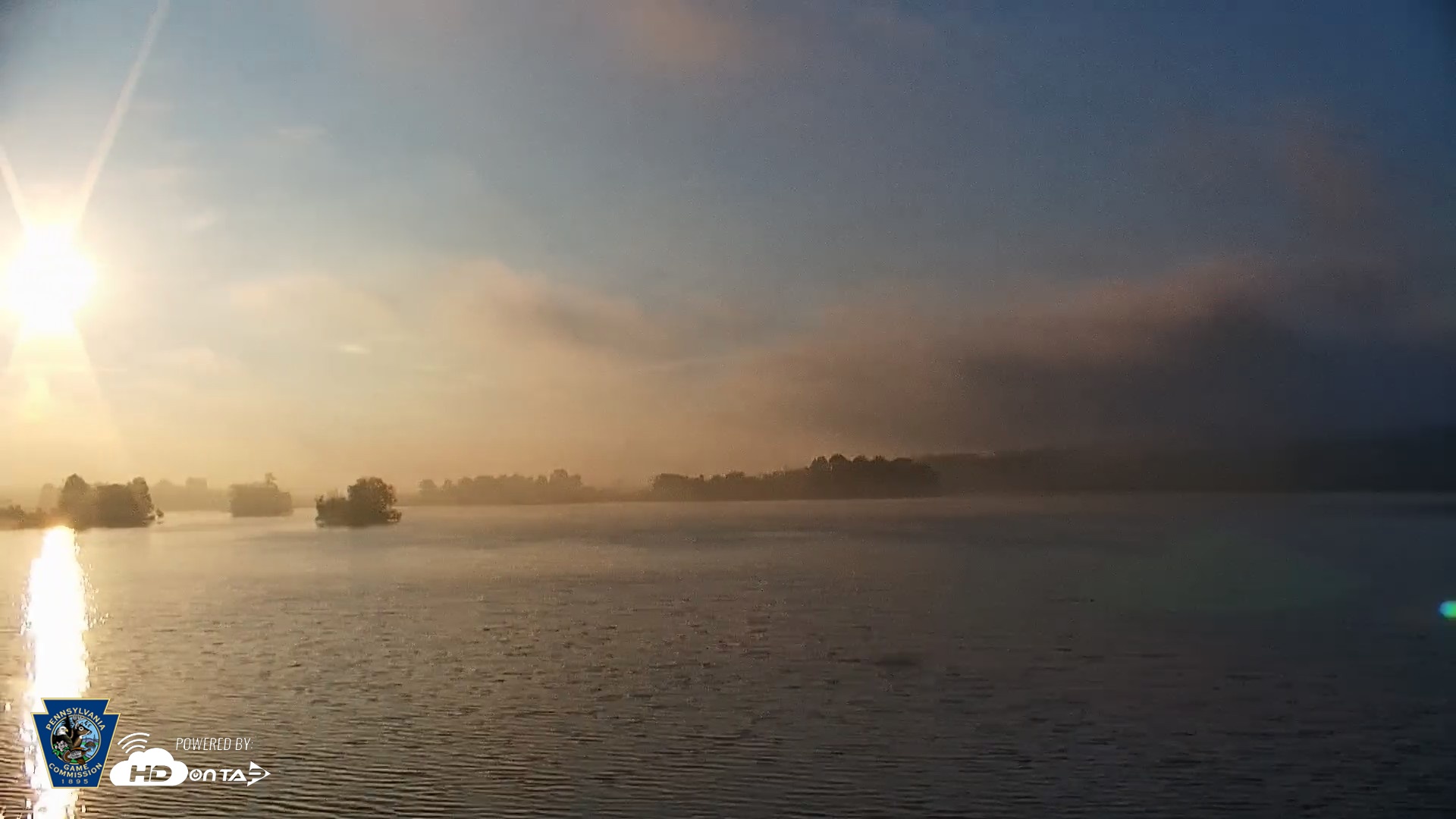 Snapshot of Pennsylvania Snow Geese Live Webcam taken May 10, 2026, 6:44am EDT