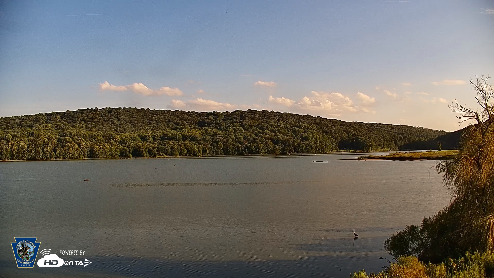 Snapshot of Pennsylvania Snow Geese Live Webcam taken Aug 24, 2026, 6:23pm EDT