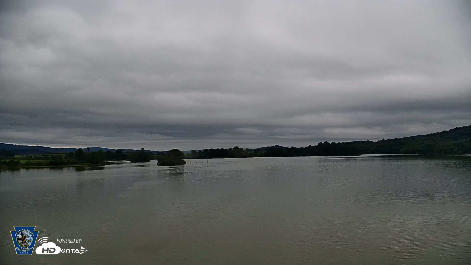 Snapshot of Pennsylvania Snow Geese Live Webcam taken Aug 30, 2026, 8:15am EDT