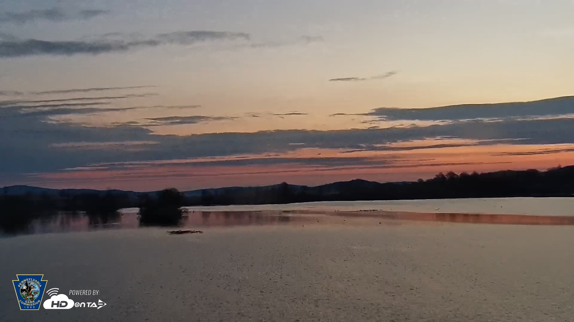 Snapshot of Pennsylvania Snow Geese Live Webcam taken Nov 23, 2025, 6:50am EST