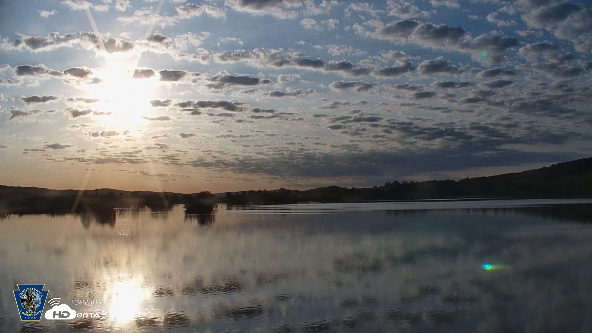 Snapshot of Pennsylvania Snow Geese Live Webcam taken May 1, 2025, 7:02am EDT
