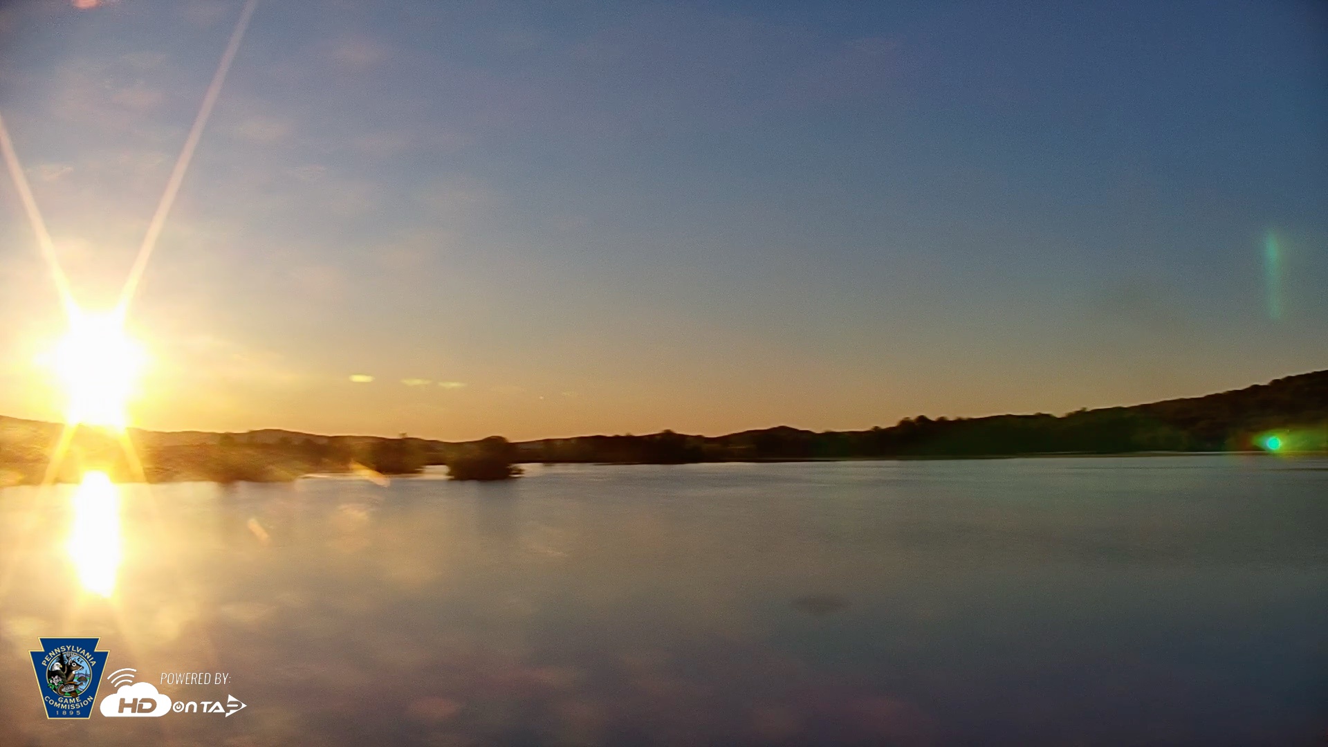 Snapshot of Pennsylvania Snow Geese Live Webcam taken May 12, 2026, 6:17am EDT