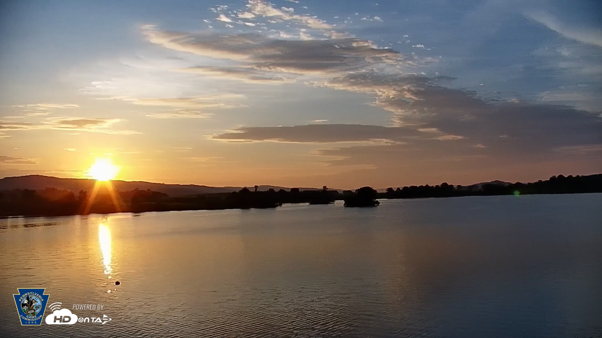 Snapshot of Pennsylvania Snow Geese Live Webcam taken Jun 12, 2026, 5:53am EDT