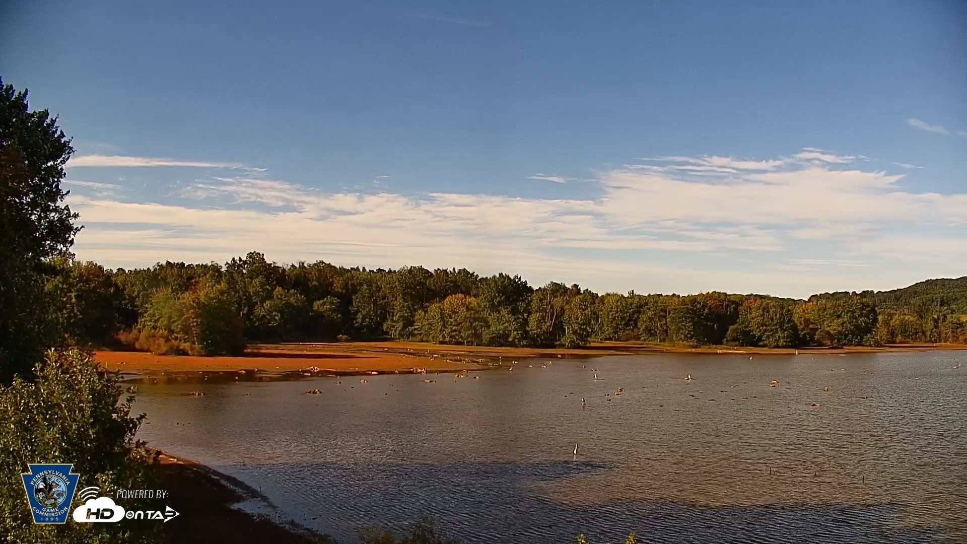 Snapshot of Pennsylvania Snow Geese Live Webcam taken Sep 24, 2026, 4:48pm EDT