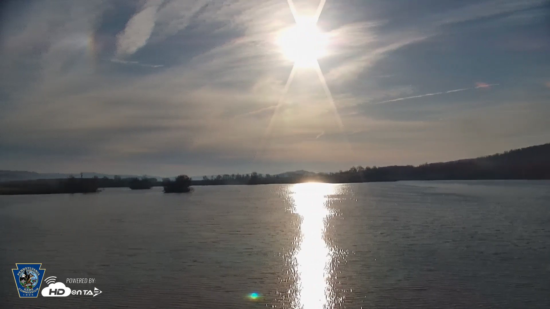 Snapshot of Pennsylvania Snow Geese Live Webcam taken Mar 25, 2026, 8:21am EDT