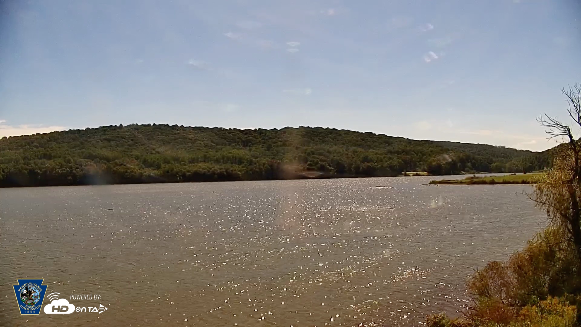 Snapshot of Pennsylvania Snow Geese Live Webcam taken Sep 24, 2026, 12:35pm EDT