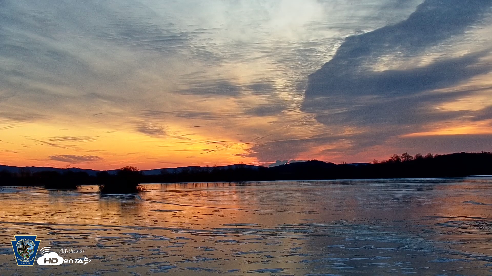 Snapshot of Pennsylvania Snow Geese Live Webcam taken Jan 3, 2026, 7:26am EST