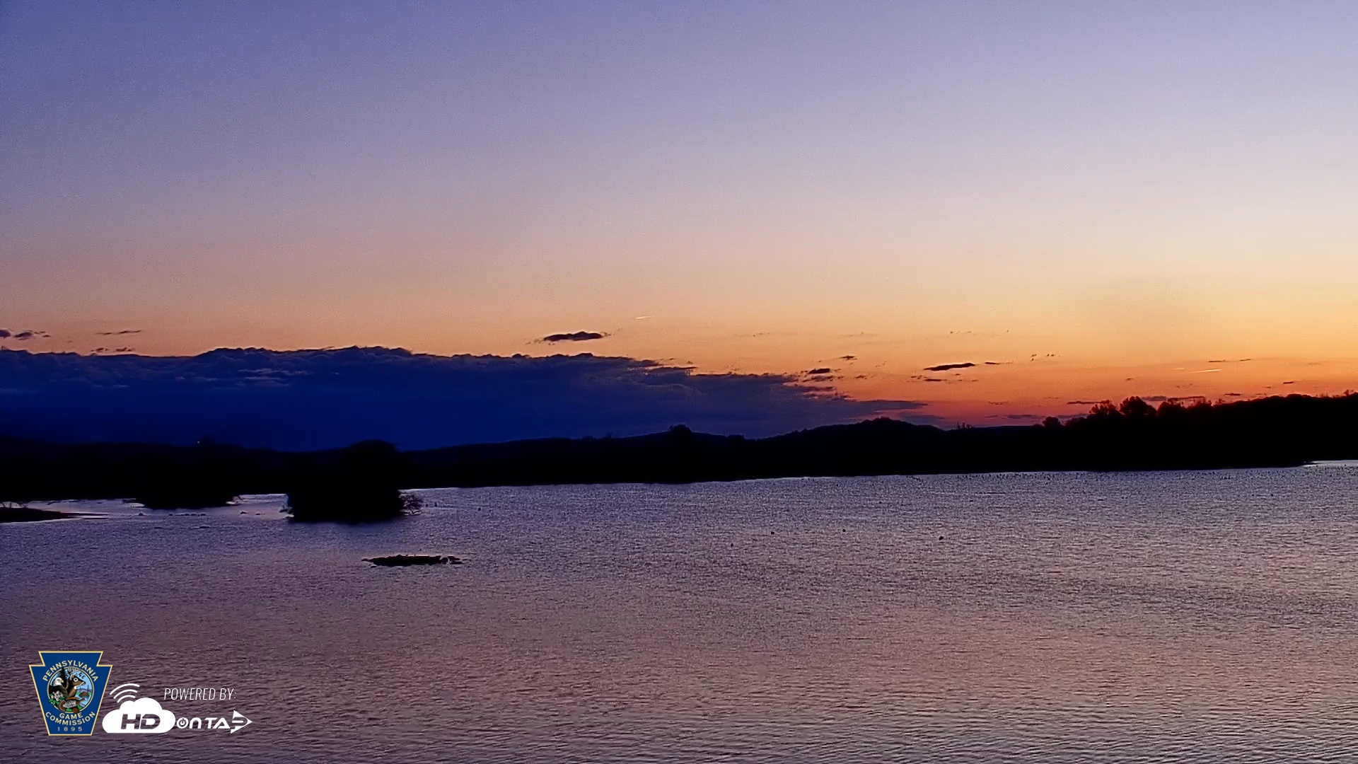 Snapshot of Pennsylvania Snow Geese Live Webcam taken Nov 13, 2025, 6:37am EST