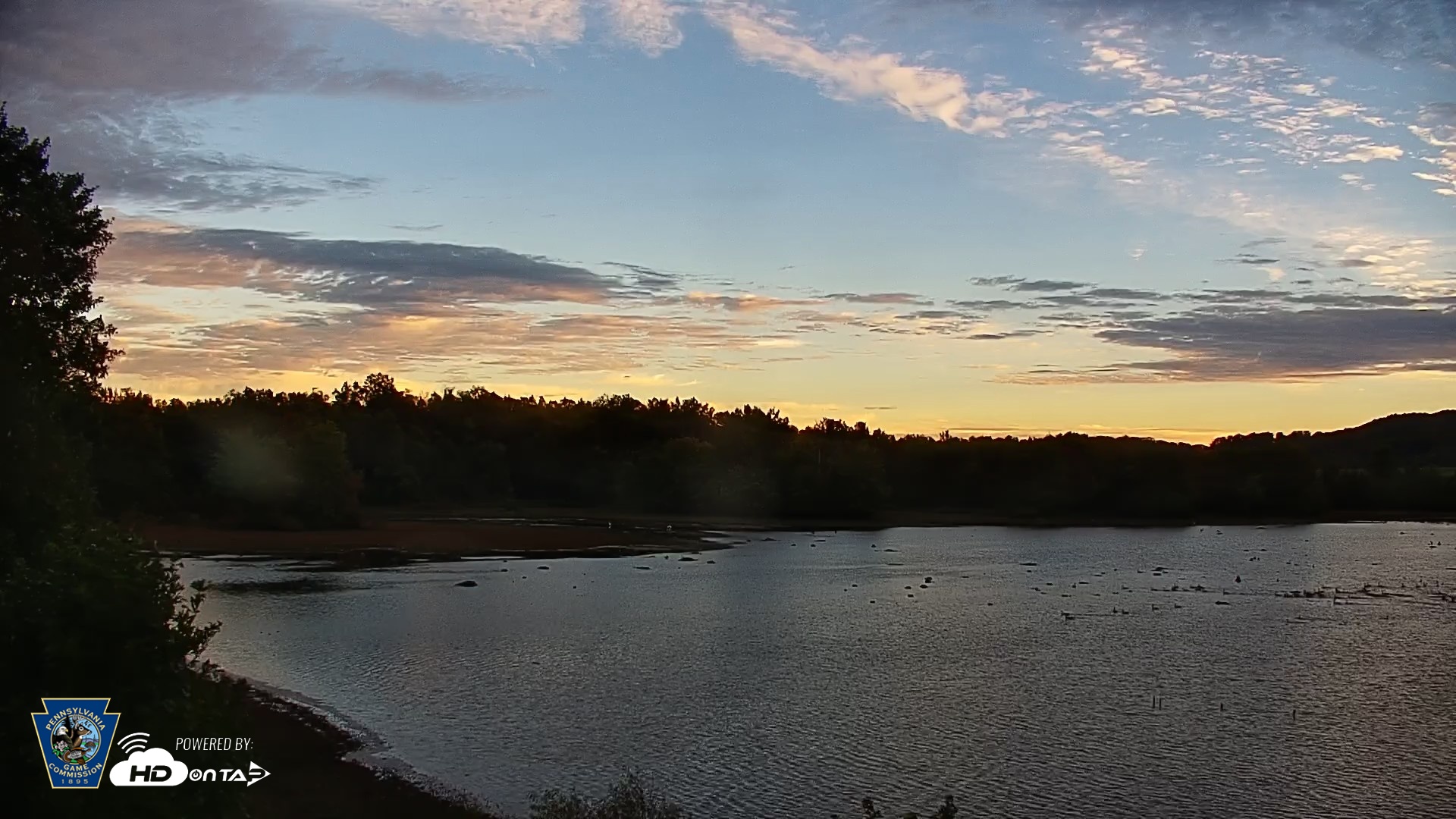 Snapshot of Pennsylvania Snow Geese Live Webcam taken Sep 23, 2026, 7:23am EDT