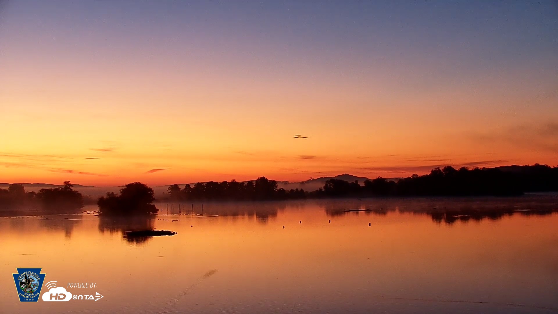 Snapshot of Pennsylvania Snow Geese Live Webcam taken Aug 26, 2026, 5:58am EDT