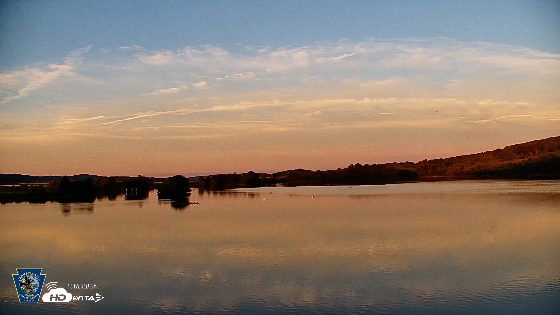 Snapshot of Pennsylvania Snow Geese Live Webcam taken Jun 23, 2026, 8:23pm EDT