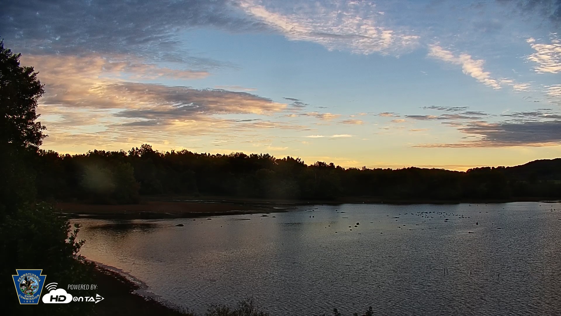 Snapshot of Pennsylvania Snow Geese Live Webcam taken Sep 23, 2026, 7:30am EDT