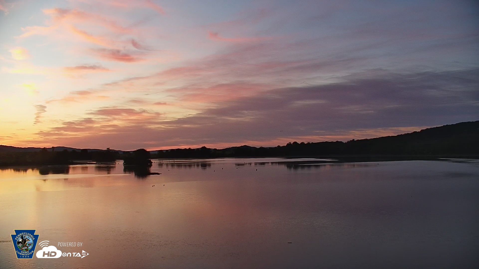 Snapshot of Pennsylvania Snow Geese Live Webcam taken Aug 4, 2026, 5:56am EDT