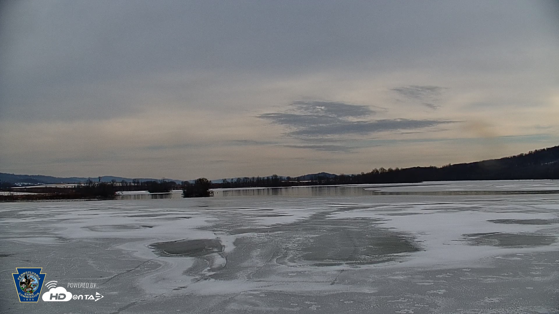 Snapshot of Pennsylvania Snow Geese Live Webcam taken Dec 17, 2025, 11:34am EST