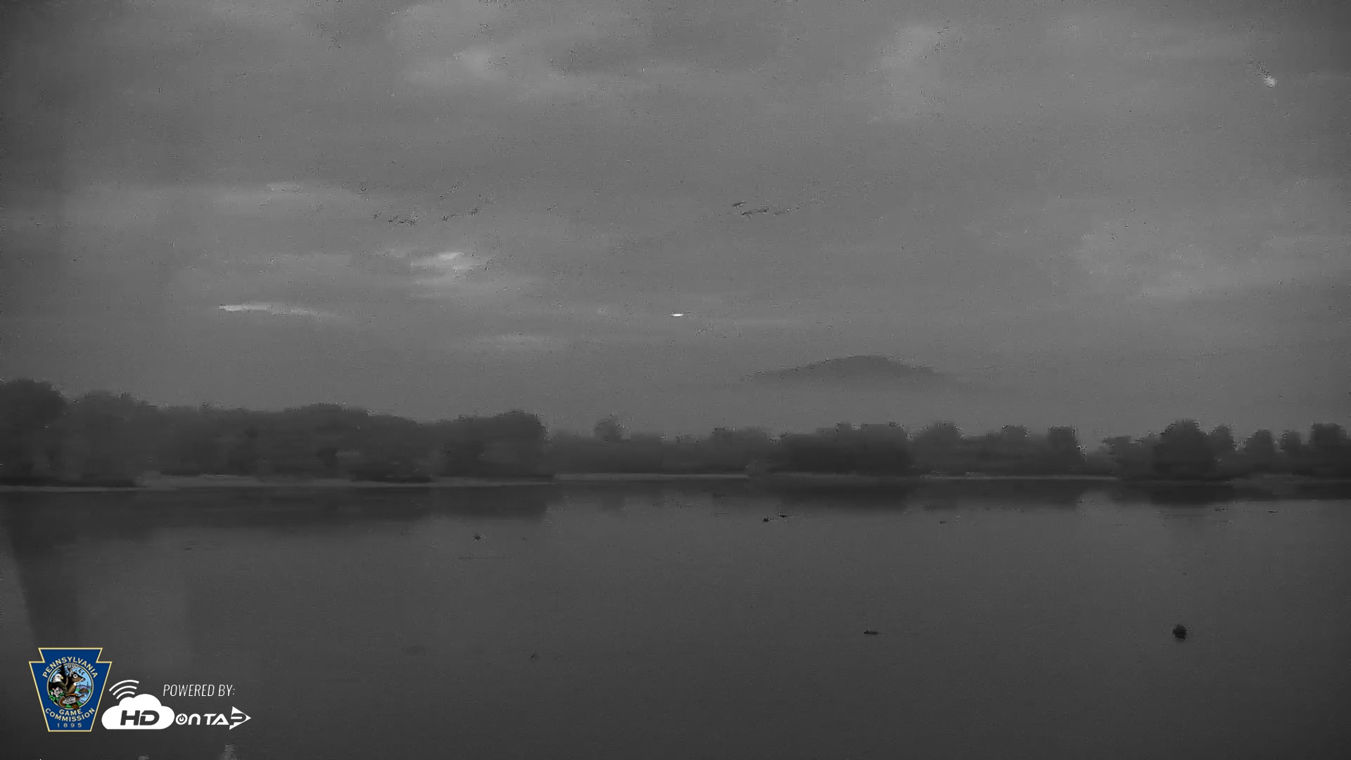 Snapshot of Pennsylvania Snow Geese Live Webcam taken Sep 1, 2026, 6:09am EDT