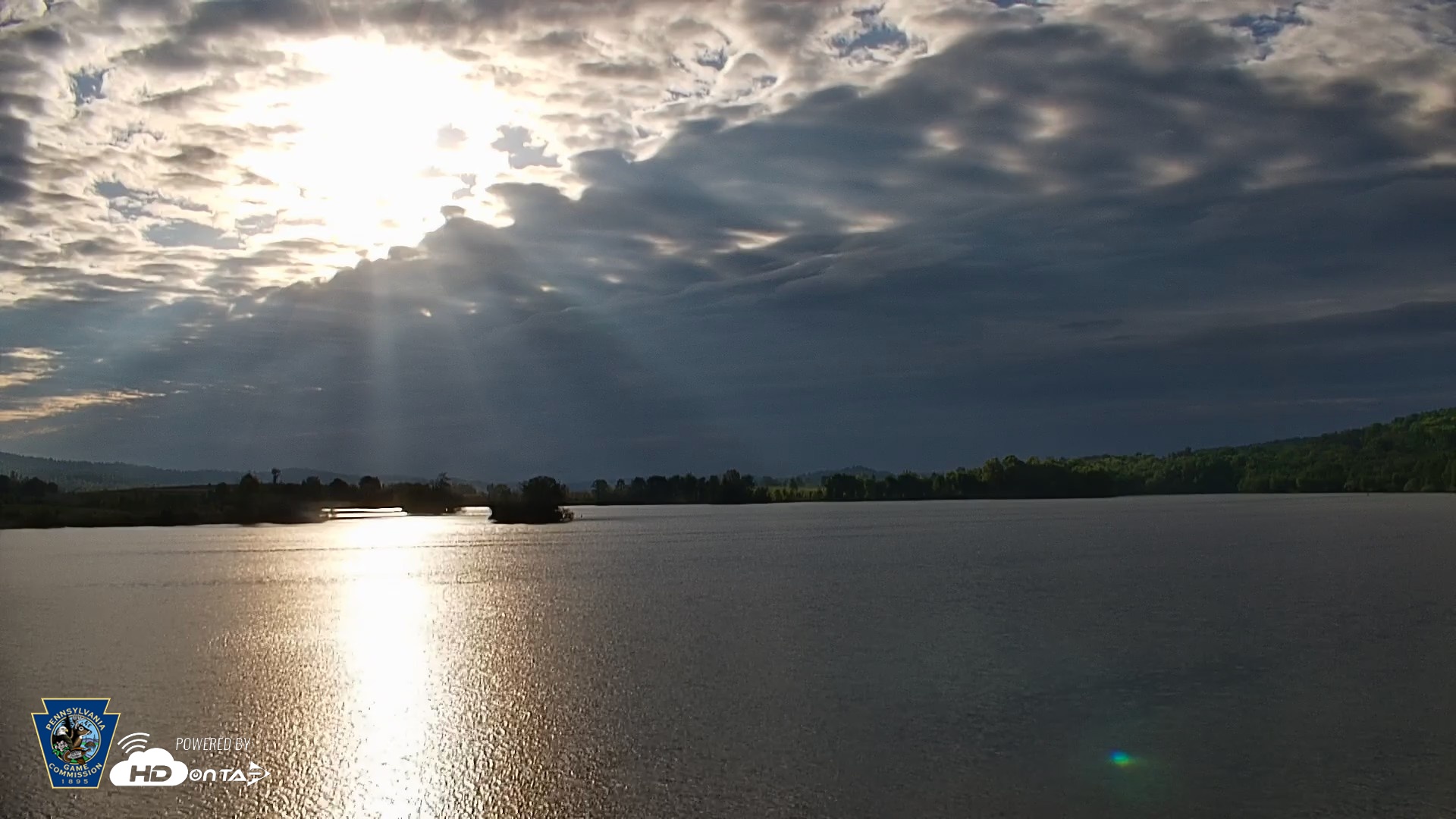 Snapshot of Pennsylvania Snow Geese Live Webcam taken May 7, 2026, 7:19am EDT