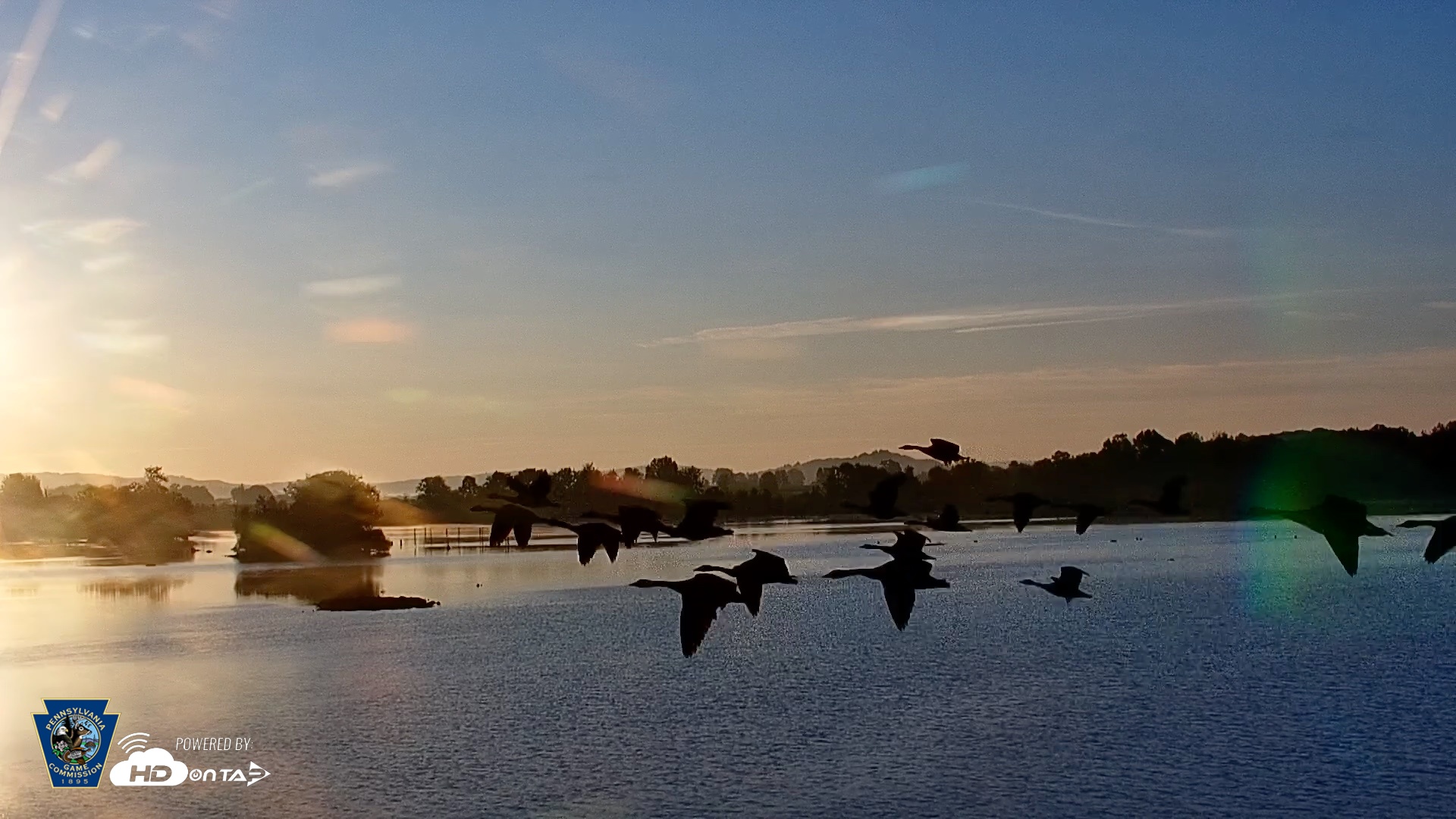 Snapshot of Pennsylvania Snow Geese Live Webcam taken Aug 21, 2026, 6:46am EDT