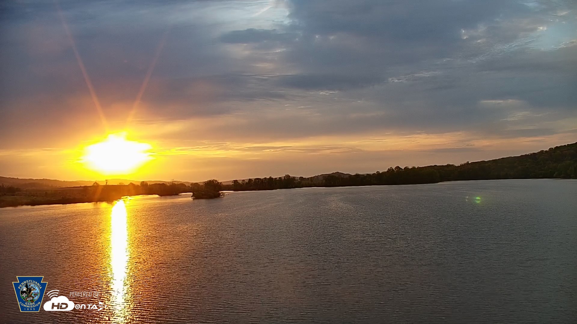 Snapshot of Pennsylvania Snow Geese Live Webcam taken Apr 22, 2026, 6:41am EDT