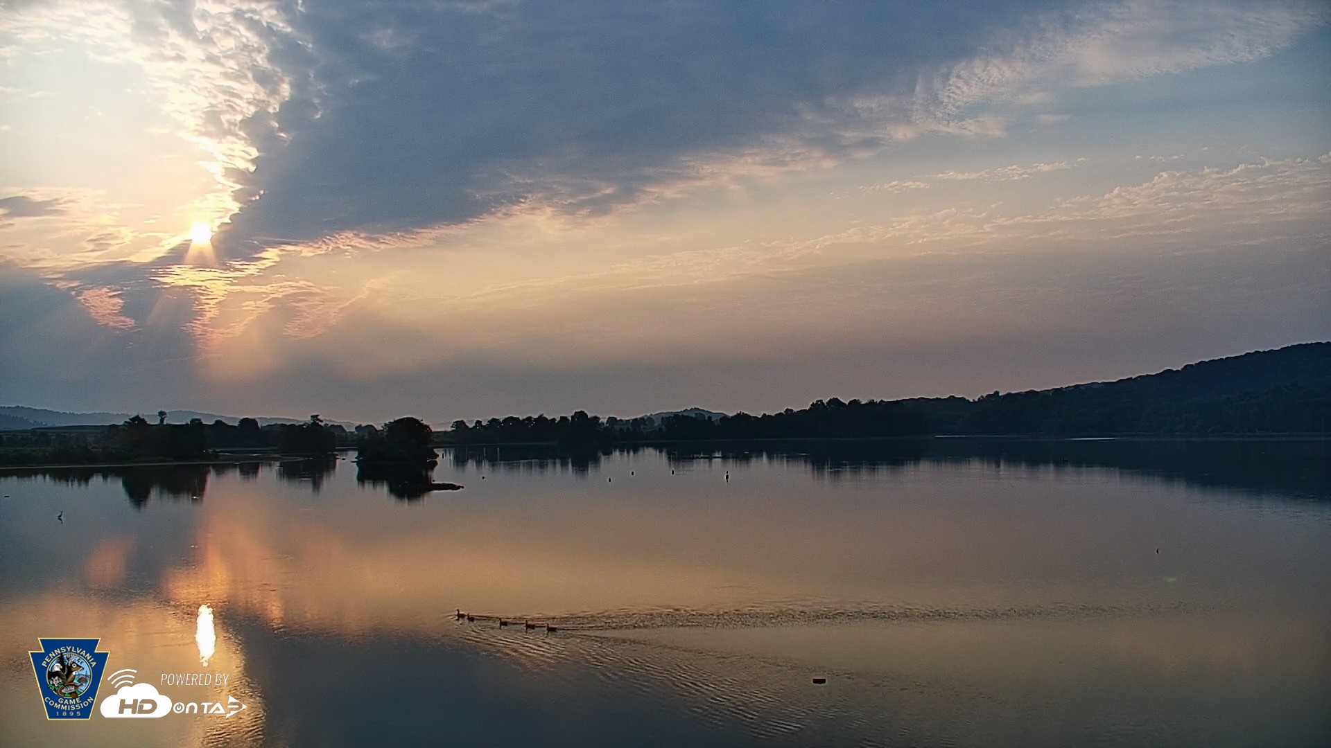 Snapshot of Pennsylvania Snow Geese Live Webcam taken Aug 12, 2026, 7:03am EDT