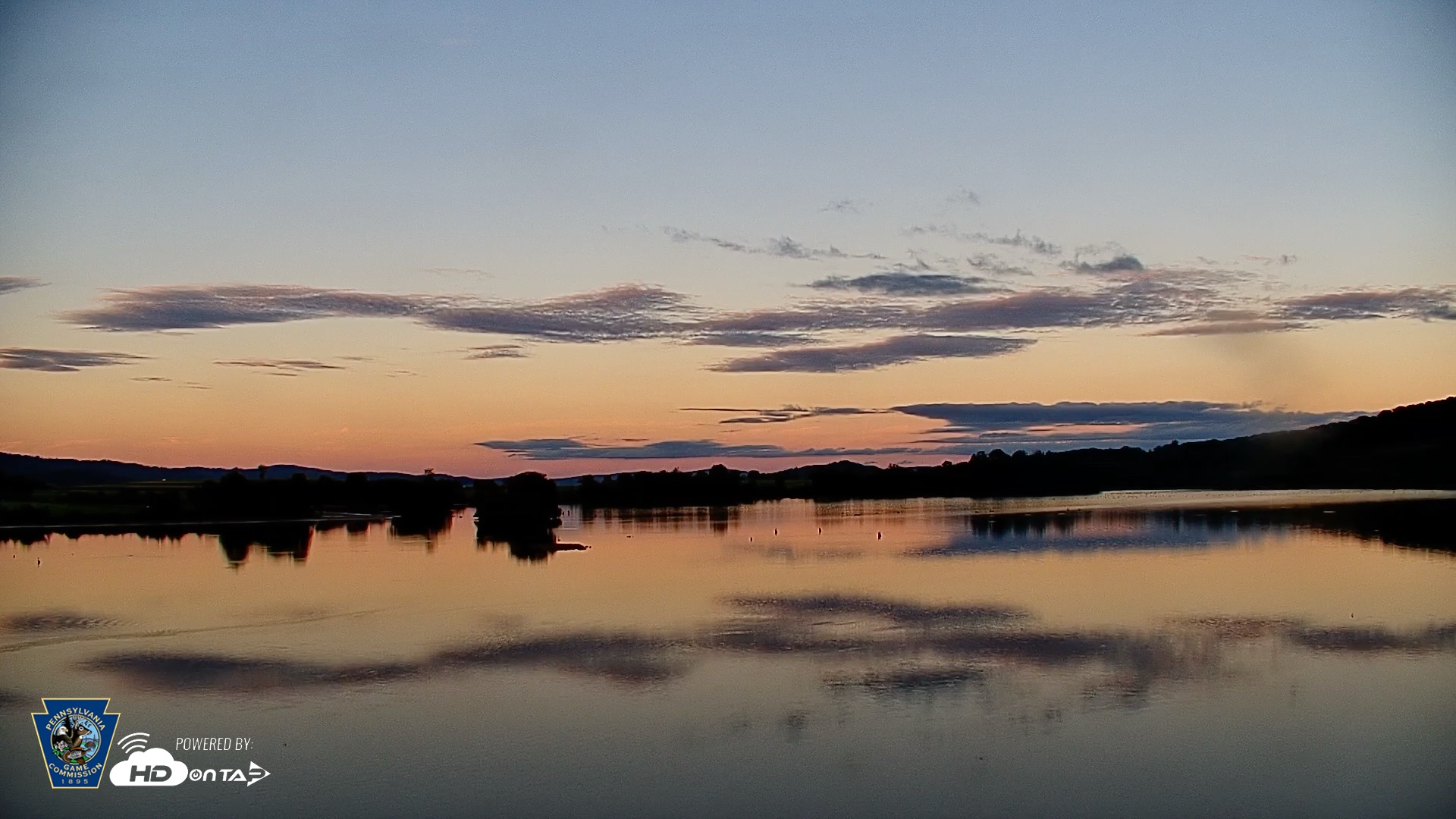 Snapshot of Pennsylvania Snow Geese Live Webcam taken Aug 21, 2025, 7:42pm EDT