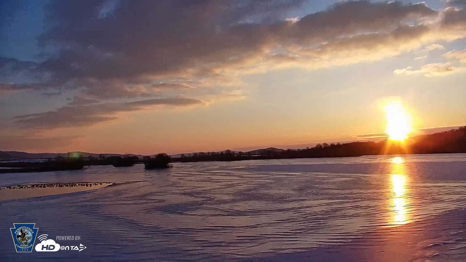 Snapshot of Pennsylvania Snow Geese Live Webcam taken Feb 4, 2026, 7:28am EST